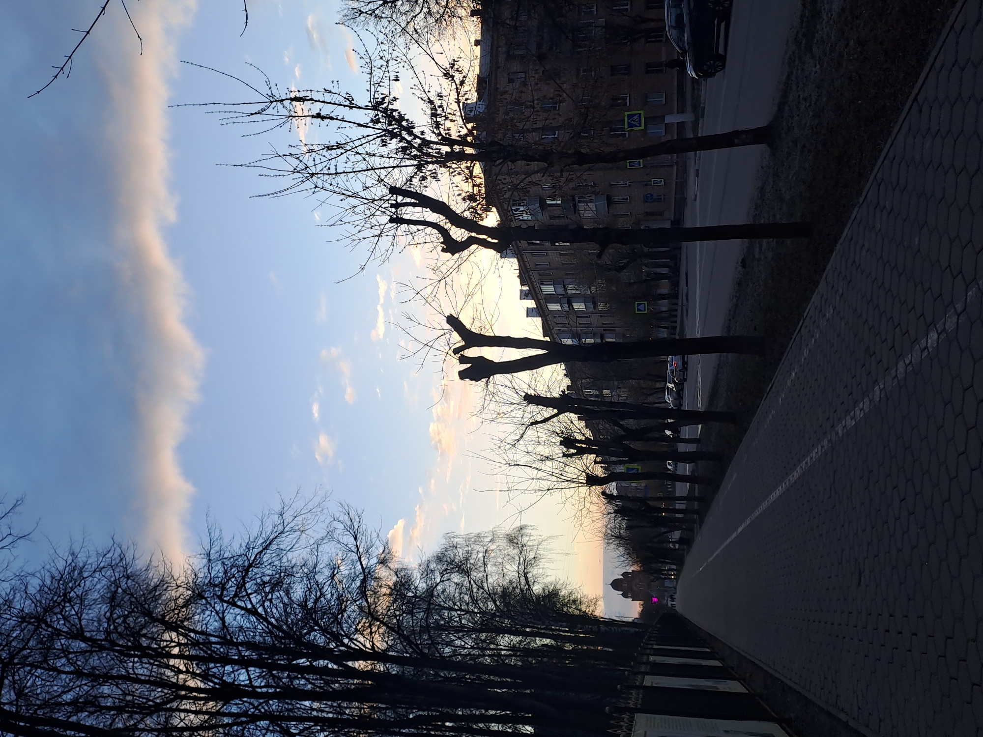 The image shows a street scene in Elektrostal, Russia at dusk or dawn. The camera is pointed down the street, with a sidewalk of hexagonal paving stones on the right and a multilane road on the left. A row of trees, mostly bare of leaves, lines the street. Some trees have been trimmed. A multi-story building is on the left side of the road, with several pedestrian crosswalk signs visible. Cars are parked along the road. In the distance, a building with domes is visible. The sky is a mix of blue and orange, indicating either sunrise or sunset, with some clouds present. The lighting is dim, suggesting it may be close to twilight.