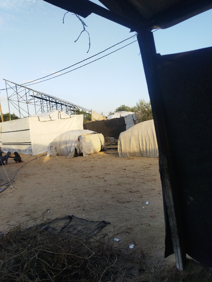 The image captures an outdoor scene in Khan Yunis, Palestinian Territory, featuring multiple temporary shelters on sandy ground under a clear blue sky.
The view is from a partially obscured vantage point, with a dark horizontal beam and two frayed dark cords visible in the upper foreground. A dark, vertical element partially frames the right side of the image. The ground consists of light brown sand or dirt, with a pile of dark, dry branches and a piece of dark netting in the lower left foreground. Scattered white debris is visible on the ground.
In the mid-ground, two individuals in dark clothing are positioned on the ground to the left; one is kneeling, and the other is partially visible nearby. A black hose or cable extends towards their location. Behind them, a large, rectangular white tent-like structure with dark banding along its base is present. To its right, a vehicle, likely a car, is entirely draped in white fabric, outlining its form. Adjacent to this covered vehicle and to the right, a dark, rectangular panel stands, followed by a large, rounded, tent-like structure, also covered in white fabric. Additional rudimentary shelters constructed from various materials are discernible in the background.
A substantial dark metal lattice structure, resembling scaffolding, extends horizontally across the upper-midground. Two dark utility lines traverse the clear blue sky, running from the left frame towards the right, passing behind the dark vertical foreground element. Sparse green foliage from trees or bushes is visible behind the structures in the mid-right. The scene is illuminated by natural daylight, casting soft shadows.