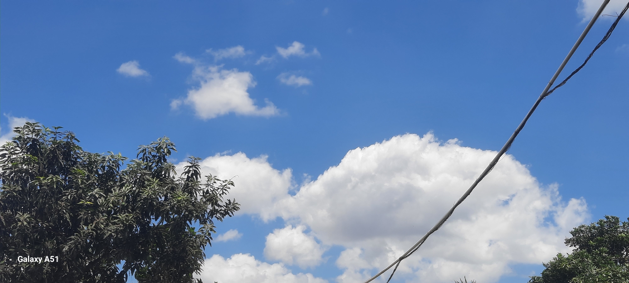 The image is a photograph of a bright blue sky with scattered white clouds. In the lower left corner, the dark green foliage of a tree is visible. A power line, consisting of a thick gray cable and a thinner black wire, runs diagonally from the bottom right towards the top left of the frame. The bottom left corner of the image displays the text "Galaxy A51". The scene is outdoors, likely during the daytime, given the bright sky. The location is specified as Ploso, Indonesia.