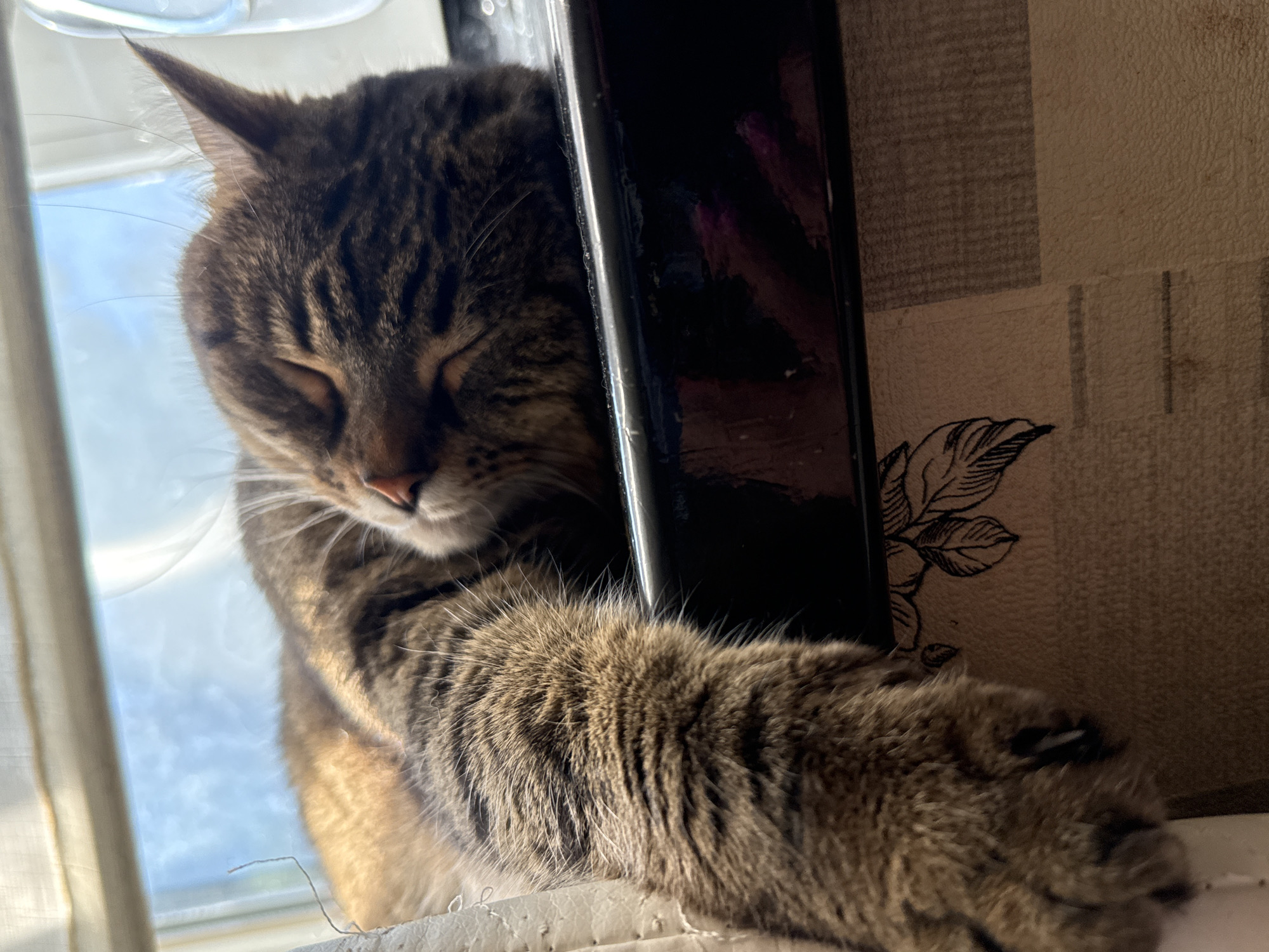 A close-up, eye-level shot captures a tabby cat sleeping soundly on a windowsill. The cat is nestled against a sheer white curtain, its body partially illuminated by sunlight streaming through a window. The cat's fur is a mix of brown and black stripes. Its eyes are closed, and its nose is a light pink. One of its paws extends forward, resting on the dark surface of the windowsill. The background consists of a blue sky with some clouds, visible through the window. Below the windowsill, a patterned fabric is visible, with a floral motif on the left side. The image appears to be taken indoors, in a residential setting.
