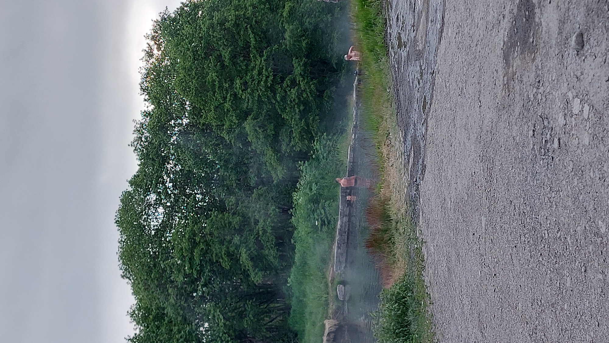 The image shows a natural hot spring with several people bathing in it. The hot spring is located in a forested area with lush green trees and grass. The water in the hot spring is steaming, indicating its high temperature. There are three individuals visible in the water. One person is standing in the foreground on the right side of the hot spring, facing left. Another person is partially submerged in the water in the middle of the hot spring, facing right. A third person is also partially submerged in the water, near the left edge of the hot spring, facing right. The hot spring is bordered by a low stone wall on one side and natural earth and vegetation on the other. A gravel path is visible in the foreground. The sky is overcast. The image does not contain information that allows for the identification of the location as Nachiki, Russia.