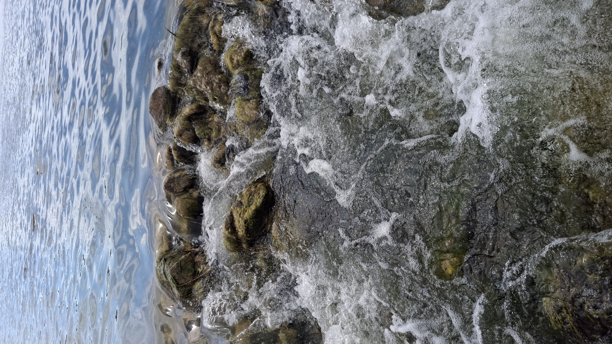 This image displays a natural aquatic scene in Krasnoye Selo, Russia, characterized by a gradient from calm to turbulent water. The upper portion of the frame shows a expanse of relatively calm, blue-grey water with distinct ripples and reflections on its surface. Moving downwards, a rocky shoreline or a series of submerged and partially submerged rocks become visible. These rocks are irregular in shape, vary in size, and are covered with dark green and brownish moss or algae. As the water flows over and around these moss-covered rocks, it transitions into a state of significant turbulence, generating substantial whitewater and foam, particularly in the lower half of the image. The agitated water appears aerated and opaque white in areas of high turbulence, while deeper pockets of water between the rocks appear dark. No human subjects, animals, or man-made structures are visible within the frame.