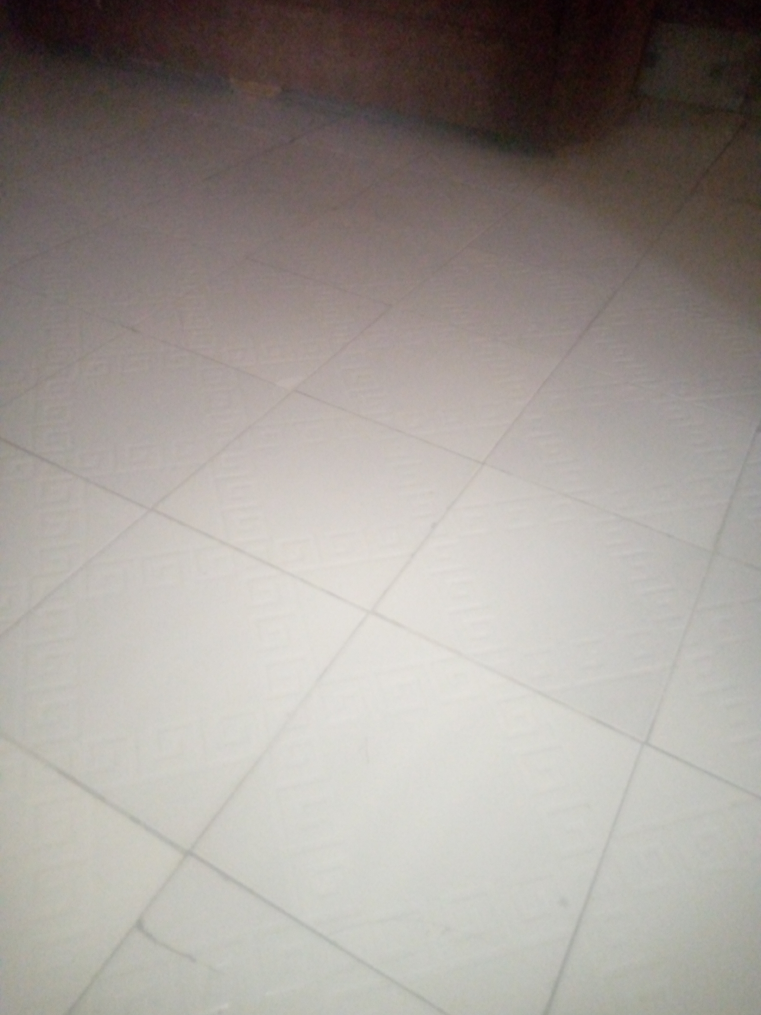 The image shows a close-up view of a tiled floor. The tiles are square and appear to be white or light gray, with a subtle patterned texture. The grout lines form a grid pattern, with some lines appearing darker than others due to shadow or slight discoloration. The lighting suggests the presence of a light source from the upper left, casting a soft shadow across the floor. In the upper portion of the image, a blurred area of darker, reddish-brown color is visible, which could be a wall, furniture, or another object in the room. The scene is static and offers no indication of people or any activity. The image is taken from a downward angle, focusing solely on the floor.