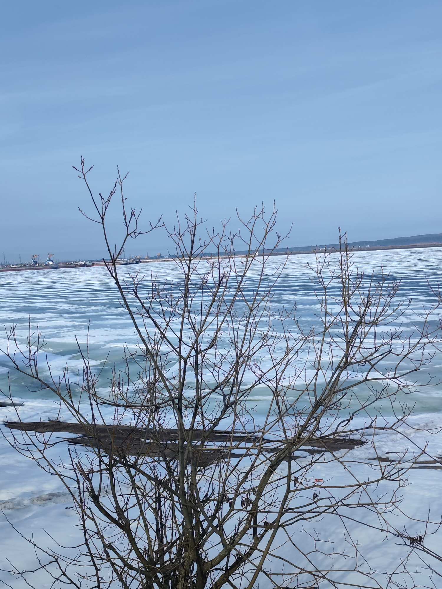 The image depicts a winter landscape in Chaikovsky, Russia. In the foreground, a bare tree stands with many branches devoid of leaves. Behind the tree, a frozen body of water stretches across the middle ground, showing cracks and patches of ice. In the distance, the cityscape of Chaikovsky can be seen, including industrial structures like cranes and buildings, suggesting a port or industrial area. The sky above is a pale blue, likely indicating a cold, winter day. The scene is static, capturing the starkness of a winter landscape.