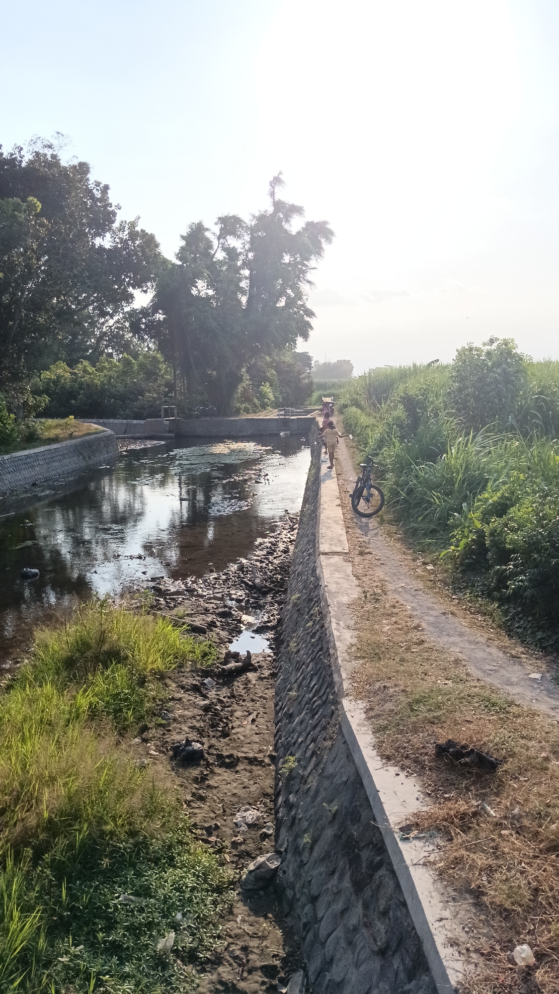 The image depicts a canal with stone embankments and a dirt path alongside it. In the distance, a group of people, possibly children, are walking along the path. A bicycle is parked near them. The canal itself appears partially dry, with exposed mud and some water reflecting the sky. Lush green vegetation grows on the banks and in the background. The scene is illuminated by bright sunlight, suggesting it is daytime. The location is identified as Ngadiluwih, Indonesia.
