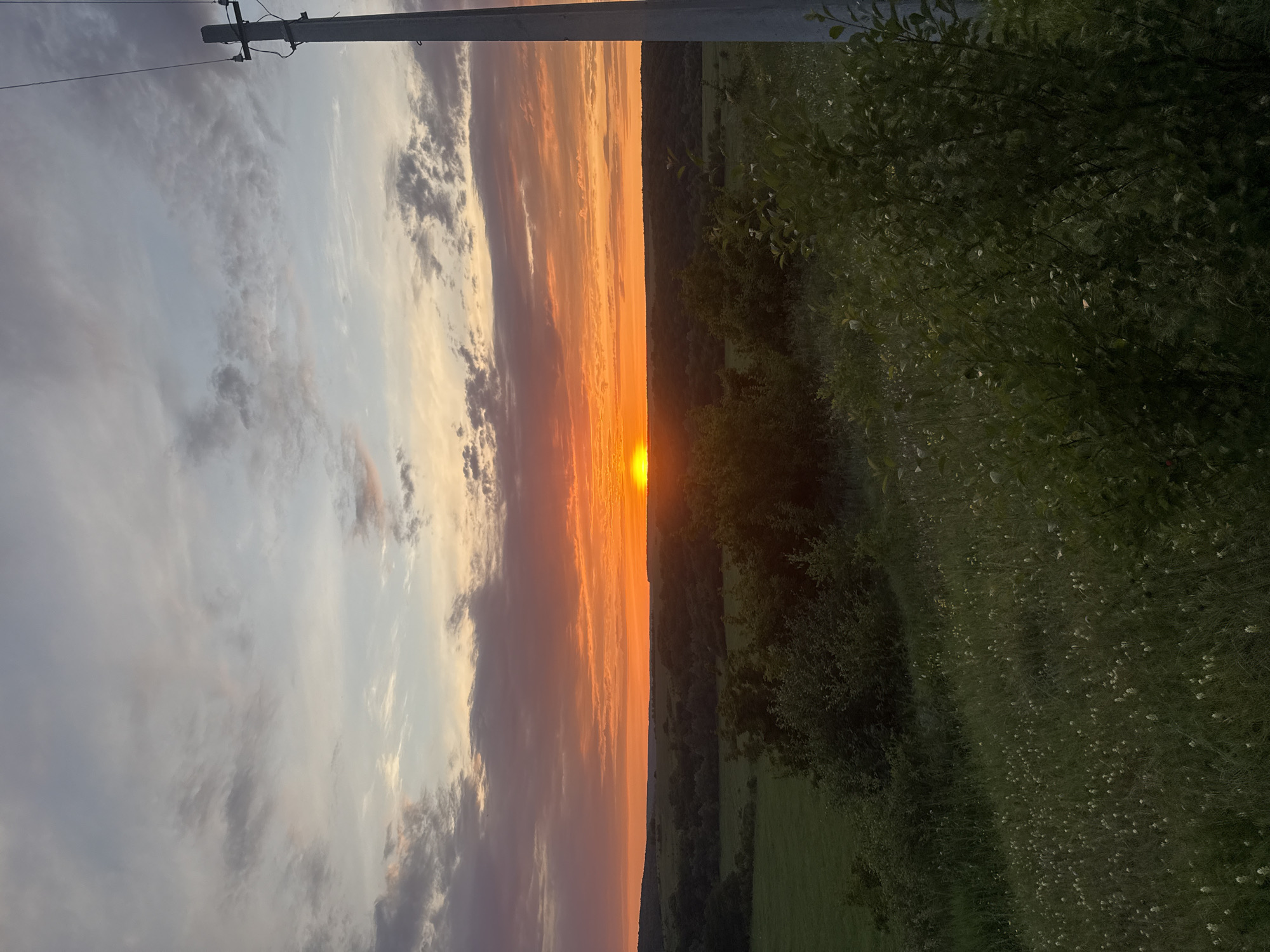 The image depicts a sunset over a rural landscape. The sky is filled with dramatic clouds painted in hues of orange, pink, and gray. The sun, a bright orange orb, is low on the horizon, casting a warm glow over the scene. In the foreground, there is a grassy hill with scattered white wildflowers and dark green bushes. Beyond the hill, a line of trees forms a dark silhouette against the vibrant sky. To the right, a utility pole with wires stands prominently. The location is identified as Lbishche, Russia. There are no people or animals visible in the image. The overall atmosphere is serene and natural.