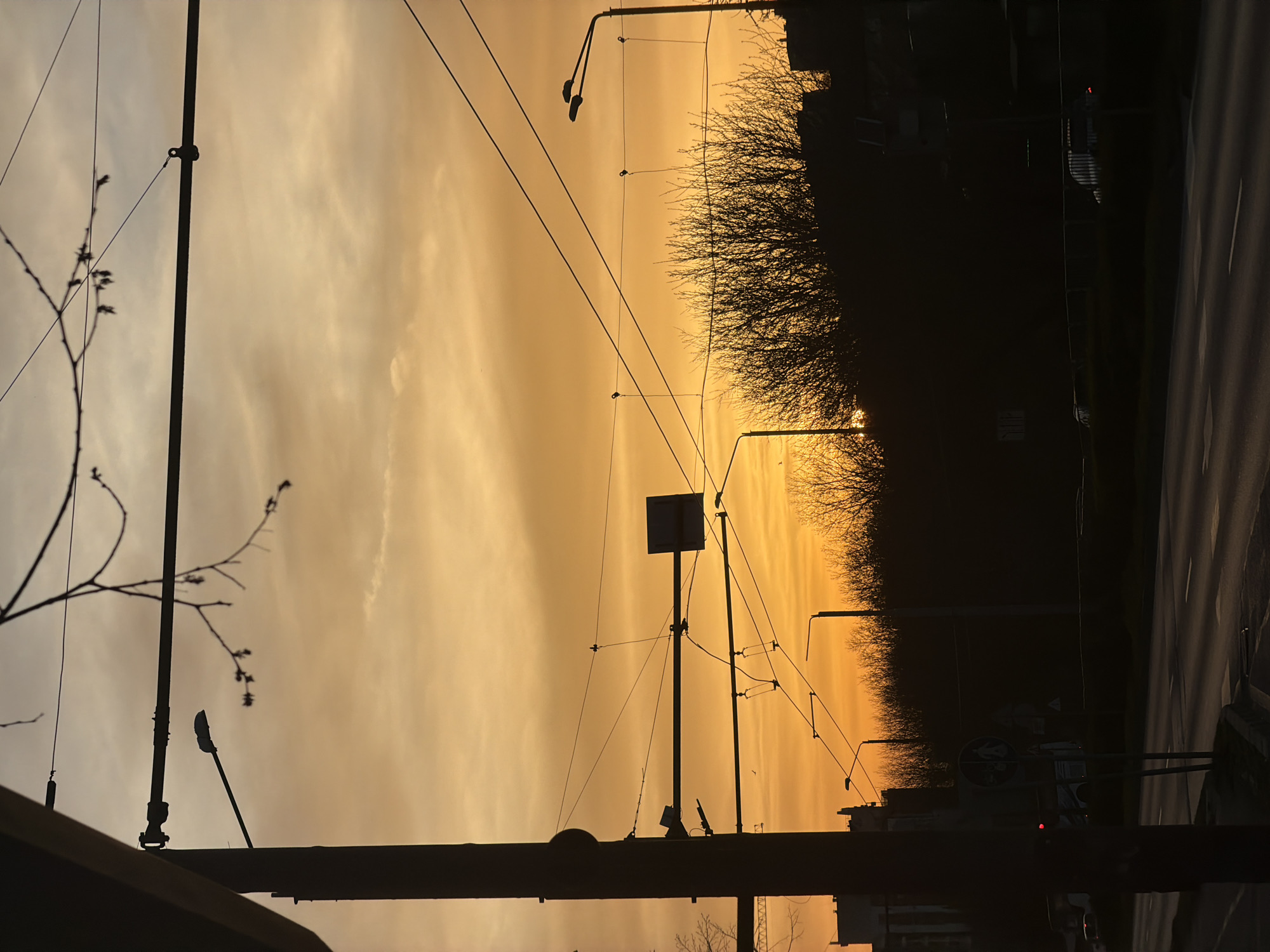 The image captures a serene, silhouetted urban landscape bathed in the warm, golden-orange glow of either sunrise or sunset. The sky dominates the upper half of the frame, displaying soft cloud formations that transition from lighter hues on the left to deeper oranges on the right.
In the foreground, delicate, bare tree branches extend into the frame from the left, their intricate patterns starkly outlined against the bright sky. Several dark utility poles, some equipped with streetlights, punctuate the scene, crisscrossed by an extensive network of overhead wires, characteristic of a tram or trolleybus system. One prominent pole in the mid-ground features a square, dark sign.
Along the horizon, a dense line of leafless trees forms a dark, textured band, behind which the silhouettes of urban buildings are faintly discernible. To the right, a road or street is visible, with subtle reflections suggesting light on its surface and faint lane markings. Further down the road, the faint outlines of vehicles are present, one possibly displaying a red tail light or traffic light. A circular traffic sign is also barely visible near the road.
The overall impression is one of tranquility and the quiet transition of day, with the setting (or rising) sun casting a dramatic and contemplative atmosphere over the city infrastructure and natural elements. No explicit human activity is clearly depicted, and no discernible text is visible on any signs or objects. The scene provides a glimpse into an urban environment, likely in Varna, Bulgaria, given the context.