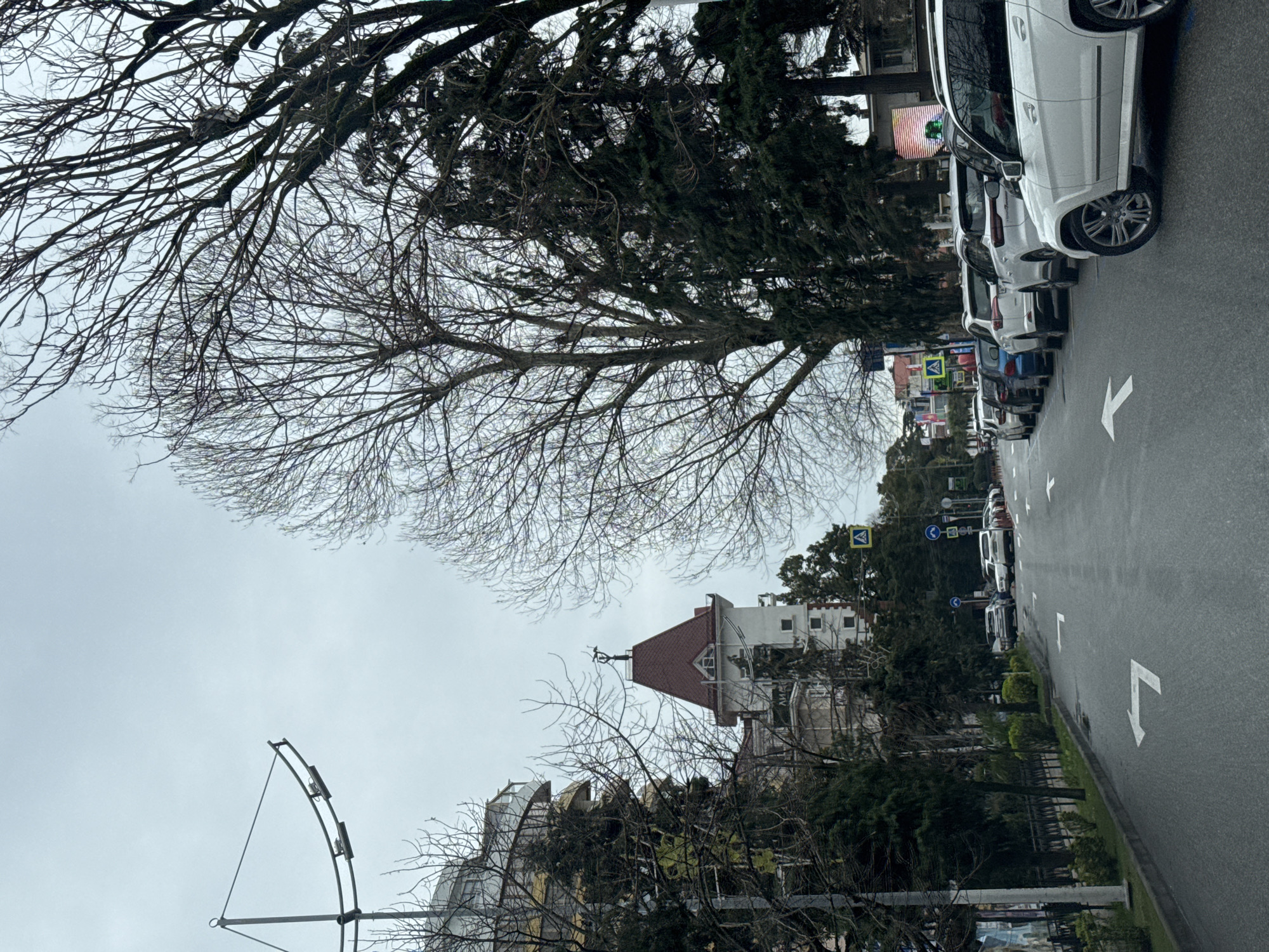 The image depicts a street scene in Sochi, Russia, characterized by a row of parked cars along the right side of a grey asphalt road, marked with white directional arrows. Bare trees dominate the left foreground, contrasting with the denser evergreen foliage further along the street. A distinct building with a red-tiled roof and white façade is visible in the background, partially obscured by trees. Street lighting equipment is visible on the left. The sky is overcast. No people are directly visible.