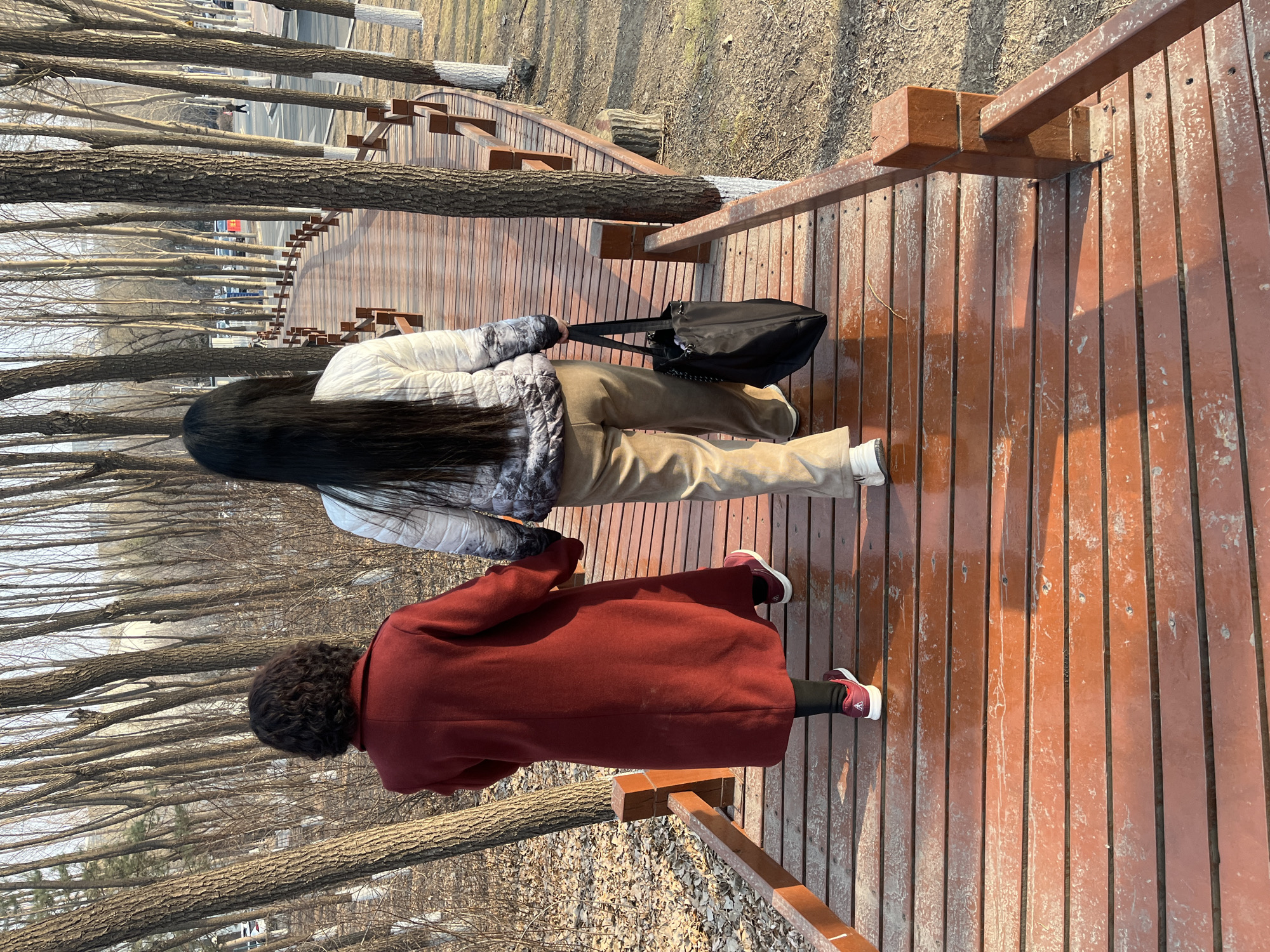 Two individuals are depicted walking away from the viewer on a wooden boardwalk in a park or promenade area within Changchun City, China. The person on the left wears a long, deep red coat, black leggings, and red athletic shoes, possessing dark, curly, shoulder-length hair. The person on the right, with long, straight, dark hair, wears a light-colored (white and grey patterned) puffer jacket, tan trousers, and light-colored athletic shoes; they carry a black tote bag in their left hand. Both individuals are holding hands as they proceed along the brown planked boardwalk, which features low wooden railings on both sides and curves gently to the right. The surrounding environment consists of numerous bare deciduous trees, many with white paint on their lower trunks, and ground covered in dry leaves and sparse vegetation. In the background to the right, a paved street is visible with vehicles and at least one other pedestrian. The scene is illuminated by natural light, suggesting a clear day during late autumn or winter.
