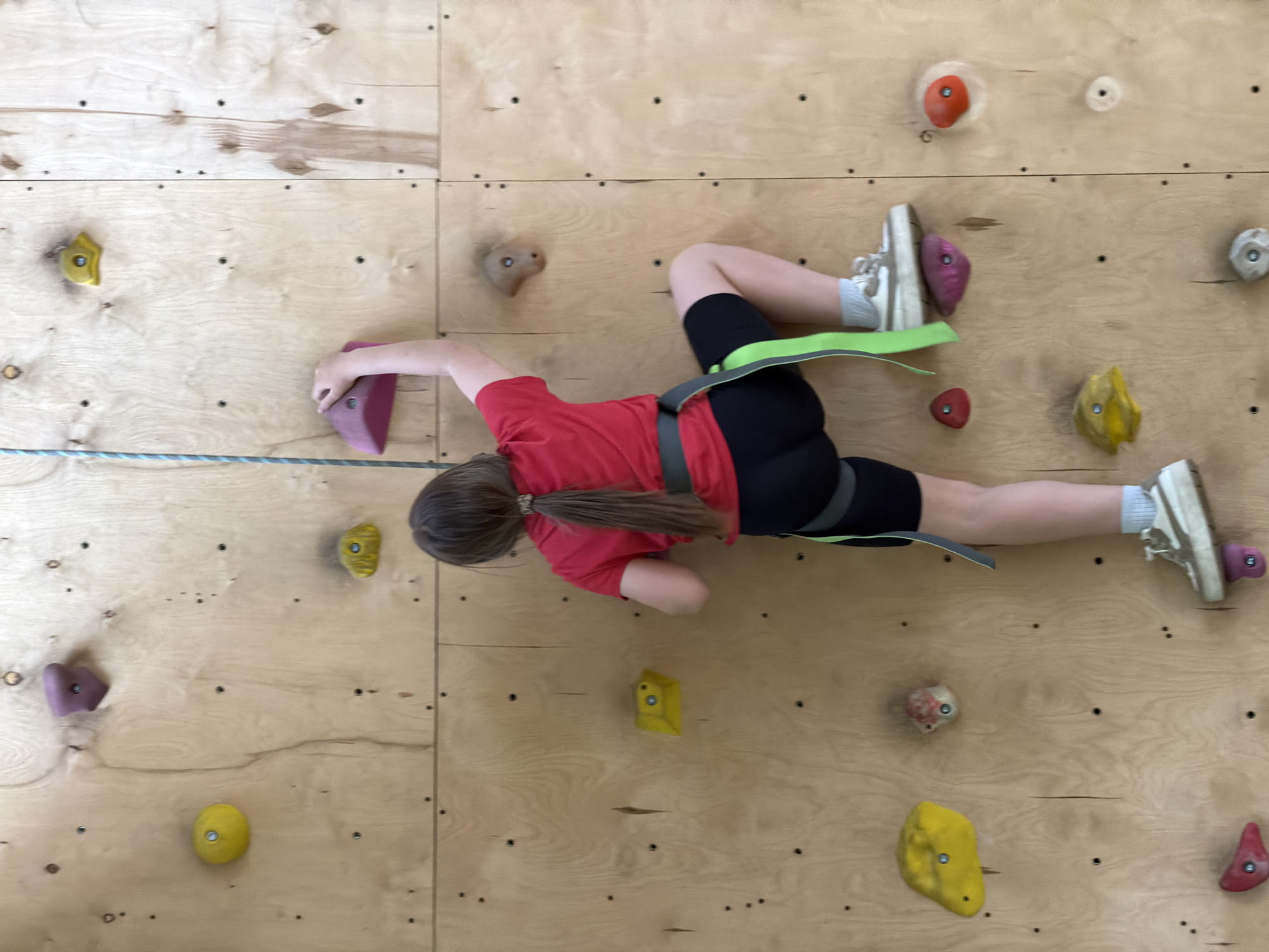 A girl wearing a red t-shirt, black shorts, grey socks, and white tennis shoes is climbing a rock climbing wall. She is wearing a climbing harness. The climbing wall is made of plywood and has various colored handholds and footholds attached. The location is unknown, but is not in the city of Izhevsk, Russia.