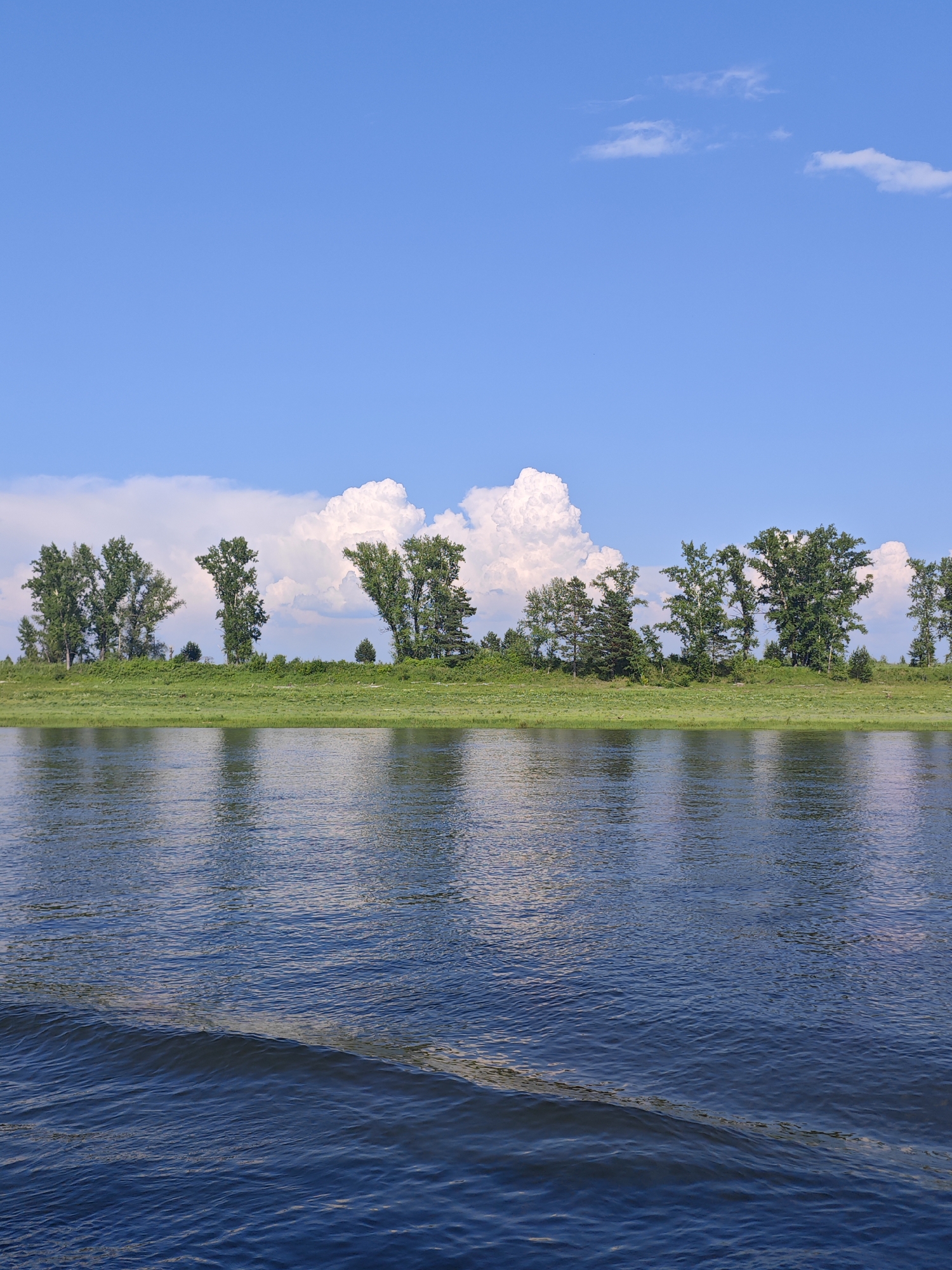 A wide, still river flows in the foreground, reflecting the sky and trees on the opposite bank. The water is a deep blue with a gentle ripple pattern emanating from the left side of the frame. Along the far bank, a lush green meadow is dotted with trees of varying heights, creating a natural, verdant barrier. Behind the trees, dramatic white clouds contrast sharply against a clear blue sky. The scene evokes a sense of tranquility and natural beauty, typical of the landscape found in and around Verkhnepashino, Russia. There are no people or artificial structures visible in this natural setting.