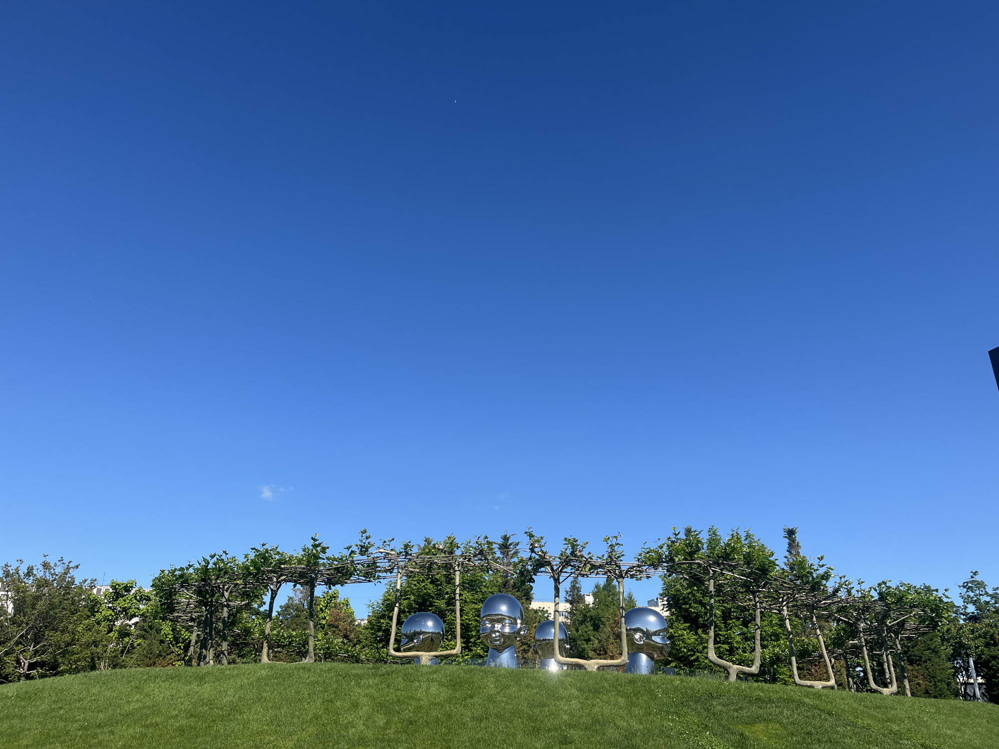 The image displays a brightly lit outdoor scene under a vast, clear blue sky, characteristic of excellent weather. A gently undulating green grassy slope occupies the foreground and middle ground. Standing prominently on this slope are four large, highly reflective sculptures, crafted from what appears to be chrome or polished steel. Each sculpture is a stylized, smooth, rounded head, resembling that of a baby or young child, with simplistic features.
These metallic heads are arranged in a line and are integrated with a unique landscape feature behind them: a series of intricately trained trees. The trees' branches are meticulously shaped into horizontal trellises or frameworks, creating individual archways or supports that frame each metallic head sculpture. Beyond these sculpted trees and heads, a dense line of various green trees and bushes forms a natural backdrop, suggesting a well-maintained park or garden setting.
The bright sunlight illuminates the scene, casting subtle shadows and causing the highly polished surfaces of the sculptures to gleam intensely and reflect their surroundings. The sky is completely cloudless, indicating a sunny day, likely midday or early afternoon. There is no discernible human activity or visible text in the image. This contemporary art installation, with its blend of natural landscaping and modern sculpture, is located in Krasnodar, Russia, likely within a public park.