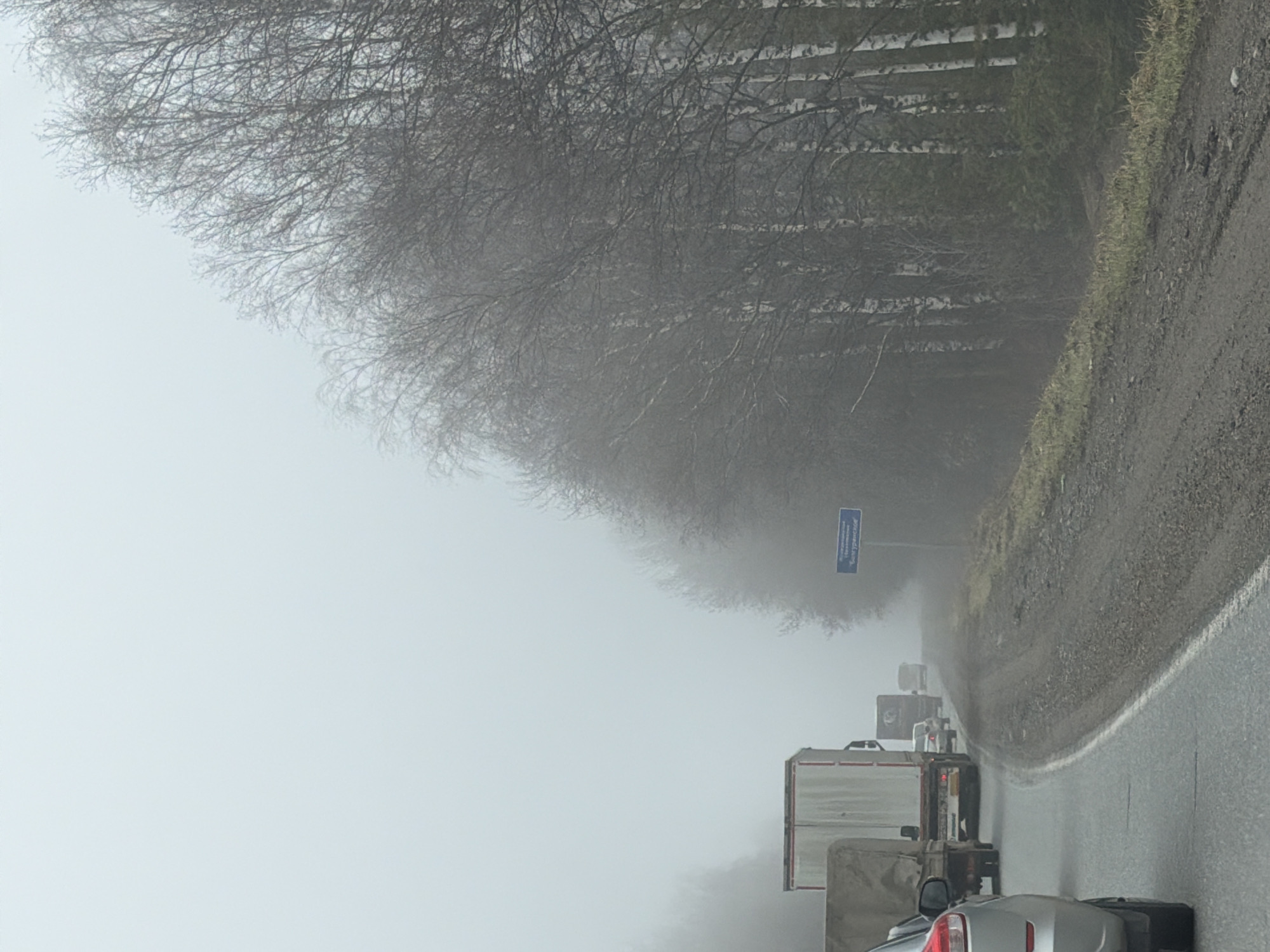 The image, originally rotated 90 degrees counter-clockwise, depicts a road scene enveloped in dense fog, significantly reducing visibility. The perspective is from within a vehicle, looking ahead at a line of traffic on a wet, asphalt road.
On the right side of the frame, the road features a white solid line along its edge, next to a dark, unpaved shoulder or verge strewn with dirt and sparse, dry grass. A dense stand of trees, characterized by their bare, intricate branches and lighter trunks (suggesting birches), lines the roadside, their forms softened and diffused by the heavy mist.
Several vehicles are visible in the midground and foreground, appearing to be in a queue or moving slowly due to the conditions. These include at least two large trucks or trailers with reflective or metallic box sections, and the rear of a silver car occupies the immediate foreground. The brake lights of some vehicles are dimly discernible through the fog.
On the left side of the road, a blue rectangular road sign is partially obscured by the fog and tree branches. Closer inspection reveals text in Cyrillic, identifying geographical details. The legible text includes "Удмуртская республика" (Udmurt Republic), "Завьяловский район" (Zavyalovsky District), and "Болгуры" (Bolgury), consistent with the provided location context.
The weather is characterized by heavy fog and damp conditions, indicated by the wet road surface and the general haziness. The bare trees suggest the time of year is late autumn, winter, or early spring. The overall atmosphere is somber and muted, conveying a sense of caution due to the limited visibility. No individuals are explicitly visible, but their presence is implied as drivers of the vehicles.
