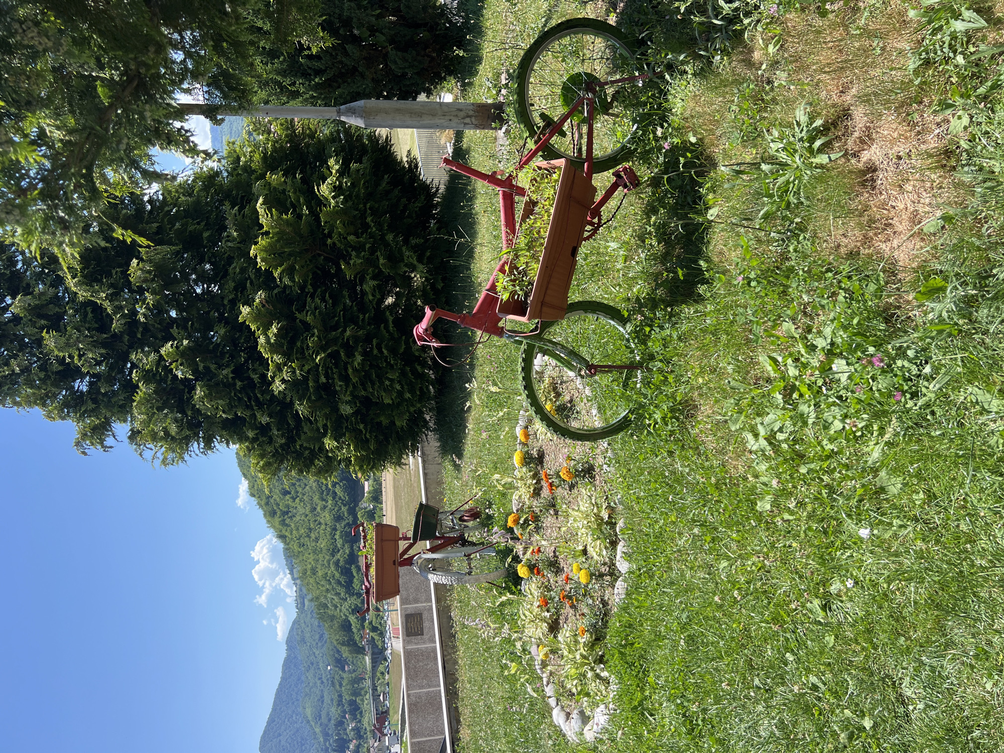 In Mojkovac, Montenegro, on a sunny day, a grassy park area features two repurposed bicycles as planters. The foreground displays a red bicycle lying on its side, its frame containing a planter filled with green plants. Its tires are painted green. Behind it, a red bicycle stands upright, also serving as a planter. It holds a rectangular planter on its handlebars, brimming with green plants, and a basket in the back with a green planter. Both bicycles are positioned amidst a flower bed with small yellow and orange flowers and scattered rocks. The background reveals lush green trees and distant, verdant hills under a bright blue sky with sparse white clouds. A grey lamppost is visible to the right of the upright bicycle. Further in the background, a concrete wall with a plaque is present, and beyond that, a bridge and some buildings can be seen, indicating proximity to the town.
