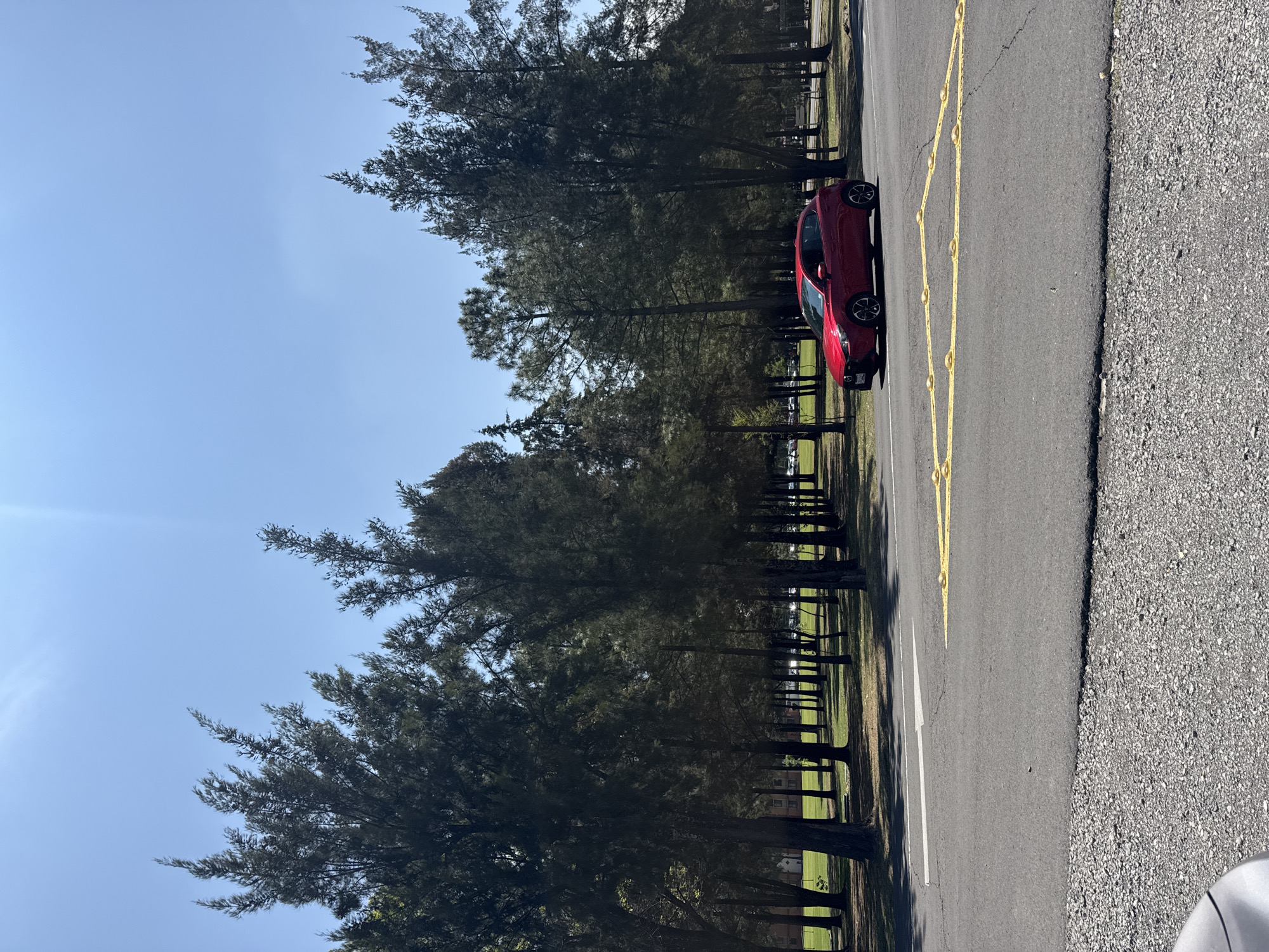 The image shows a red car parked on an asphalt road with yellow road markings, next to a line of tall, dark green trees. Beyond the trees, there is a grassy area with buildings in the distance. The sky is clear and blue. The location is San Andrés Cholula, Mexico.
