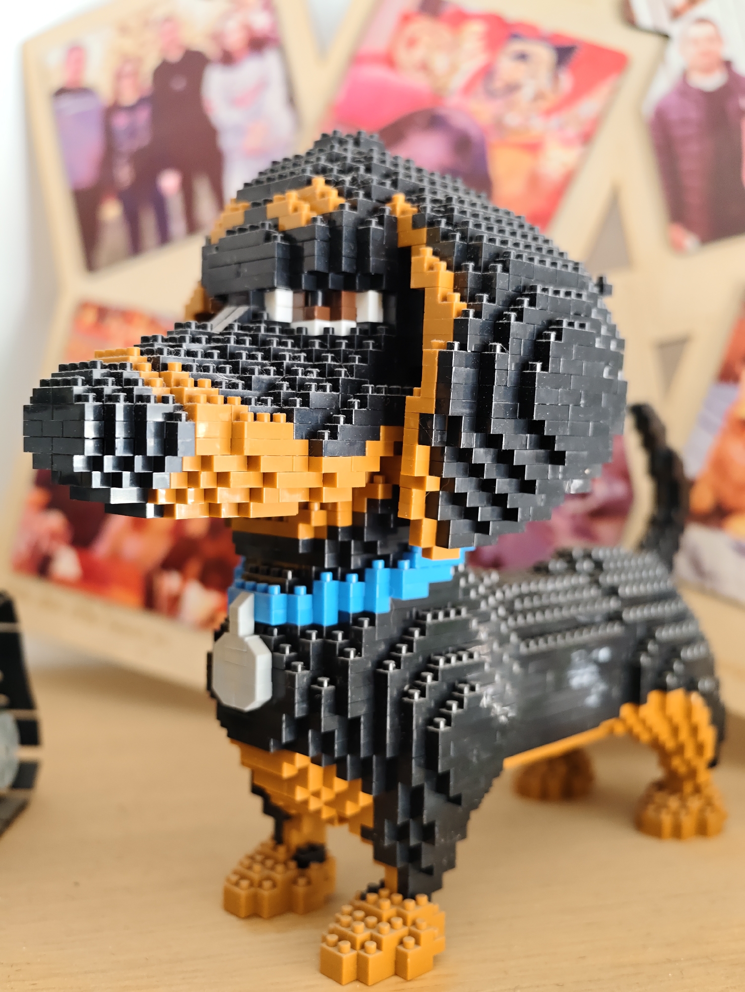 A close-up, eye-level, medium shot captures a miniature Dachshund figure constructed from black and tan building blocks. The figure is positioned on a light brown wooden surface, likely a shelf, with a blurred background featuring framed photographs of people in varying states of focus. The lighting is even, casting minimal shadows. There is no indication of the city of Petah Tikva, Israel, in the image.