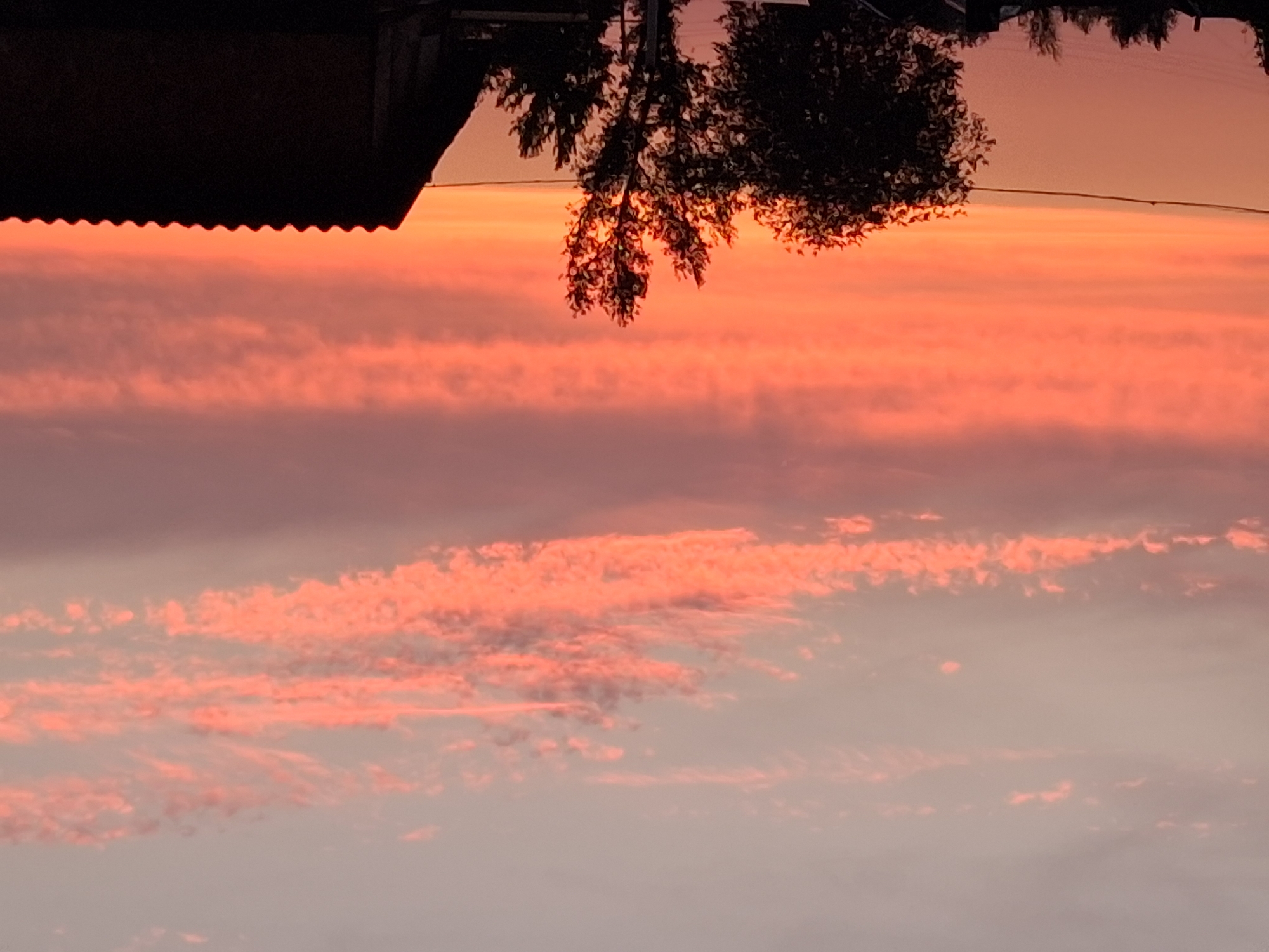 The image depicts a sunset over the city of Semey, Kazakhstan. The sky is a vibrant gradient of pink and orange, with horizontal bands of clouds catching the last rays of the sun. Silhouetted against the colorful sky are the dark shapes of trees and the roof of a building. The overall scene conveys a sense of calm and natural beauty at the end of the day.