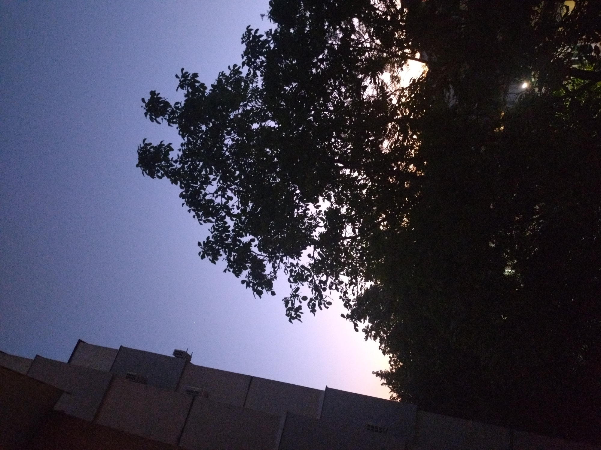 The image depicts a low-angle view of a street scene at twilight. In the foreground, the roofs of buildings with vents are visible. Above, a tree with dense foliage occupies a significant portion of the frame, silhouetted against the sky, which transitions from a pale violet to a dark blue hue. Sunlight appears to be filtering through the branches. The exact location within Stara Zagora, Bulgaria, cannot be determined from the provided image alone, as no specific landmarks or features unique to that city are apparent. No people or interactions are discernible.