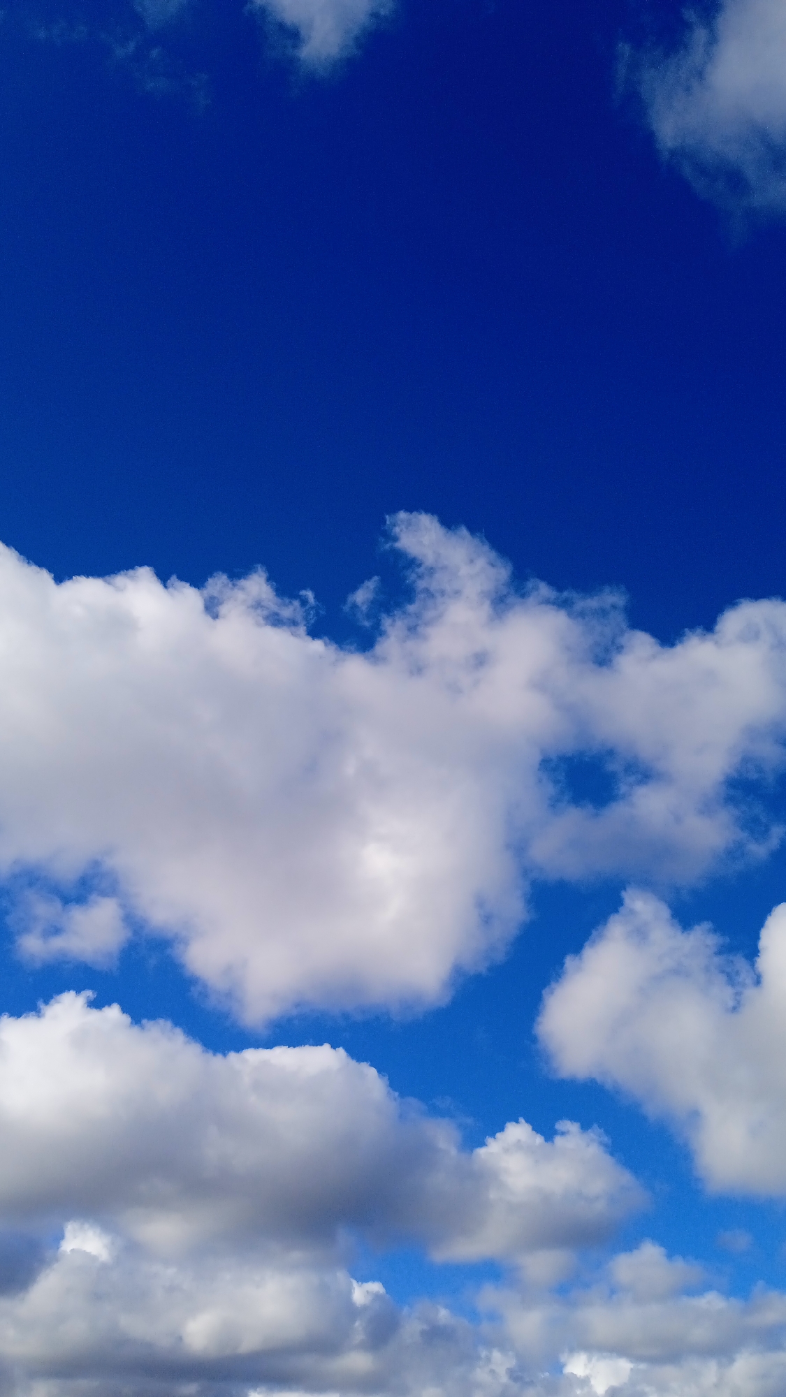 An outdoor vertical shot captures a dynamic sky filled with fluffy white cumulus clouds against a vibrant blue expanse. The clouds are layered, with some appearing closer and more detailed, while others are further in the distance, creating a sense of depth. The lighting suggests it is daytime, with the sun illuminating the clouds from above and casting subtle shadows, giving them a three-dimensional quality. The overall impression is of a bright and clear day, with the sky being the dominant subject. The image does not contain any people, structures, or specific landmarks, making its location indeterminable.