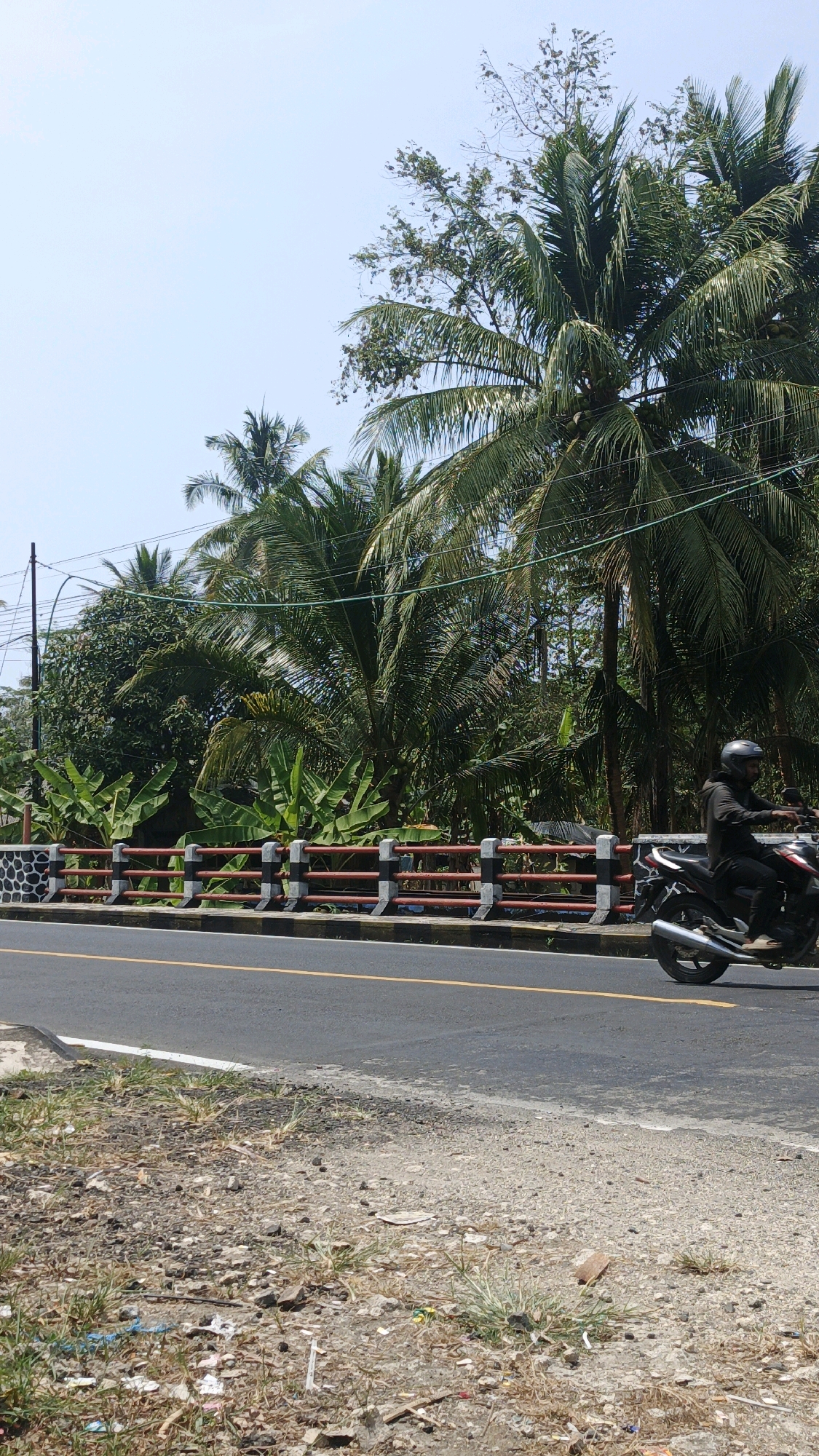 A medium shot captures a motorcycle rider on a street in Cibenda, Indonesia. The rider, wearing a black helmet and dark clothing, is moving from right to left on a black motorcycle. The street has a double yellow line in the center and a white line on the right edge. A red and black striped guardrail with white concrete posts lines the street to the left of the road. Behind the guardrail, lush green foliage dominates, including banana trees and tall palm trees with coconuts. The sky is clear and blue. The ground on the right side of the road is covered in dry grass, dirt, and debris. The scene is set outdoors in a tropical environment.