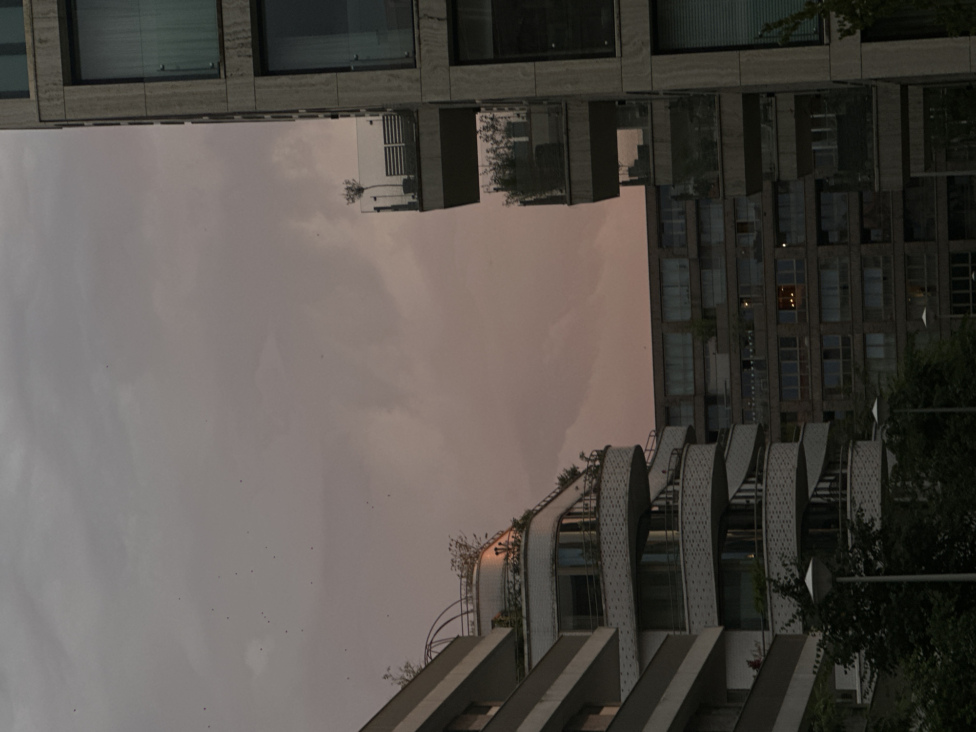 The image shows a dusk scene in Amsterdam, Netherlands, with a cluster of modern apartment buildings dominating the frame. The sky is overcast with a muted, dusky pink and gray hue.
In the foreground and left side of the image, a white, curved apartment building with multiple balconies is visible. The balconies are rounded and feature white brick railings. Some greenery is present on the balconies and on the roof of this building, where a decorative arched structure is also visible. A streetlamp stands in the lower left corner, partially obscured by trees.
To the right, a tall, concrete apartment building with large windows and glass balconies is prominent. The windows are tinted, and some have blinds.
In the background, another larger, darker apartment building with numerous rectangular windows stretches across the middle of the frame. Lights are visible in some of these windows.
The sky appears speckled with numerous small dark dots, which could be birds or insects. The overall impression is of an urban residential area at twilight.