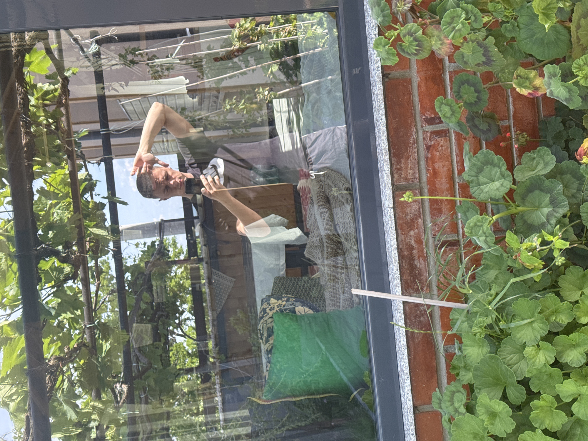 A man is reflected in a window, holding a smartphone in his right hand, presumably taking a photograph. The man is fair-skinned, with short dark hair. He is wearing a dark t-shirt. Behind him, inside the house, are visible cushions and a partially visible textile item with a geometric pattern. Outside, there is greenery. Vines are growing on a frame to the left of the window. To the right, a brick wall is overgrown with geraniums and other plants. A thin, light-colored rod or stick is leaning against the window frame, intersecting the brick wall and plants. The location, Nikolovo, Bulgaria, is an external piece of information, not evident in the image itself.