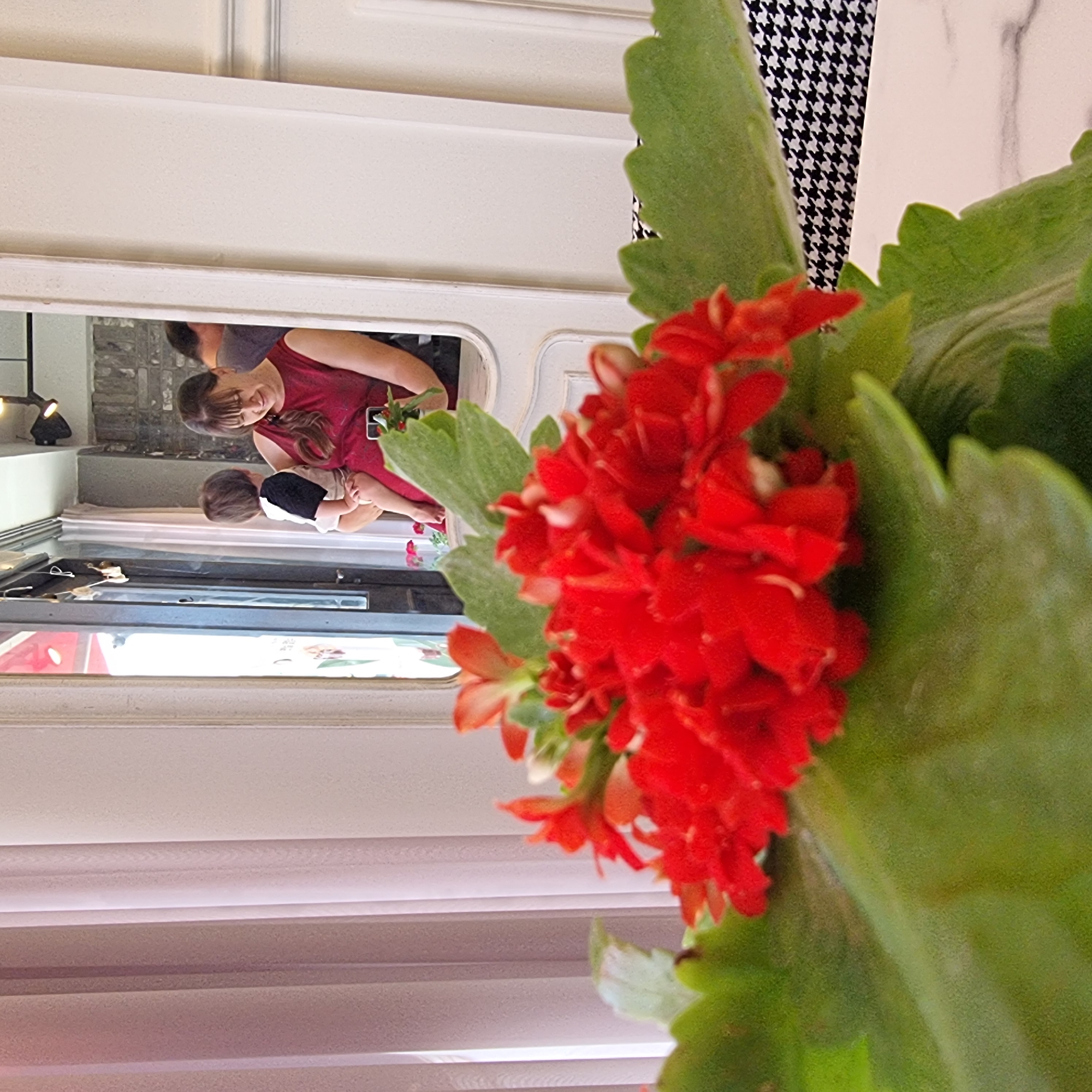 This is a close-up, eye-level shot of a flowering plant with vibrant red blossoms and broad green leaves in the foreground, filling the bottom half of the frame. Reflected in a mirror behind the plant, a woman in a red dress is holding a baby, looking down at it. The reflection also shows a glimpse of a doorway and some interior decor. The background of the main image consists of sheer, vertically draped curtains on the left and a white paneled wall on the right. A small portion of a black and white houndstooth patterned fabric is visible in the bottom right corner. The image does not contain information about the location of Dunnae-myeon, South Korea.