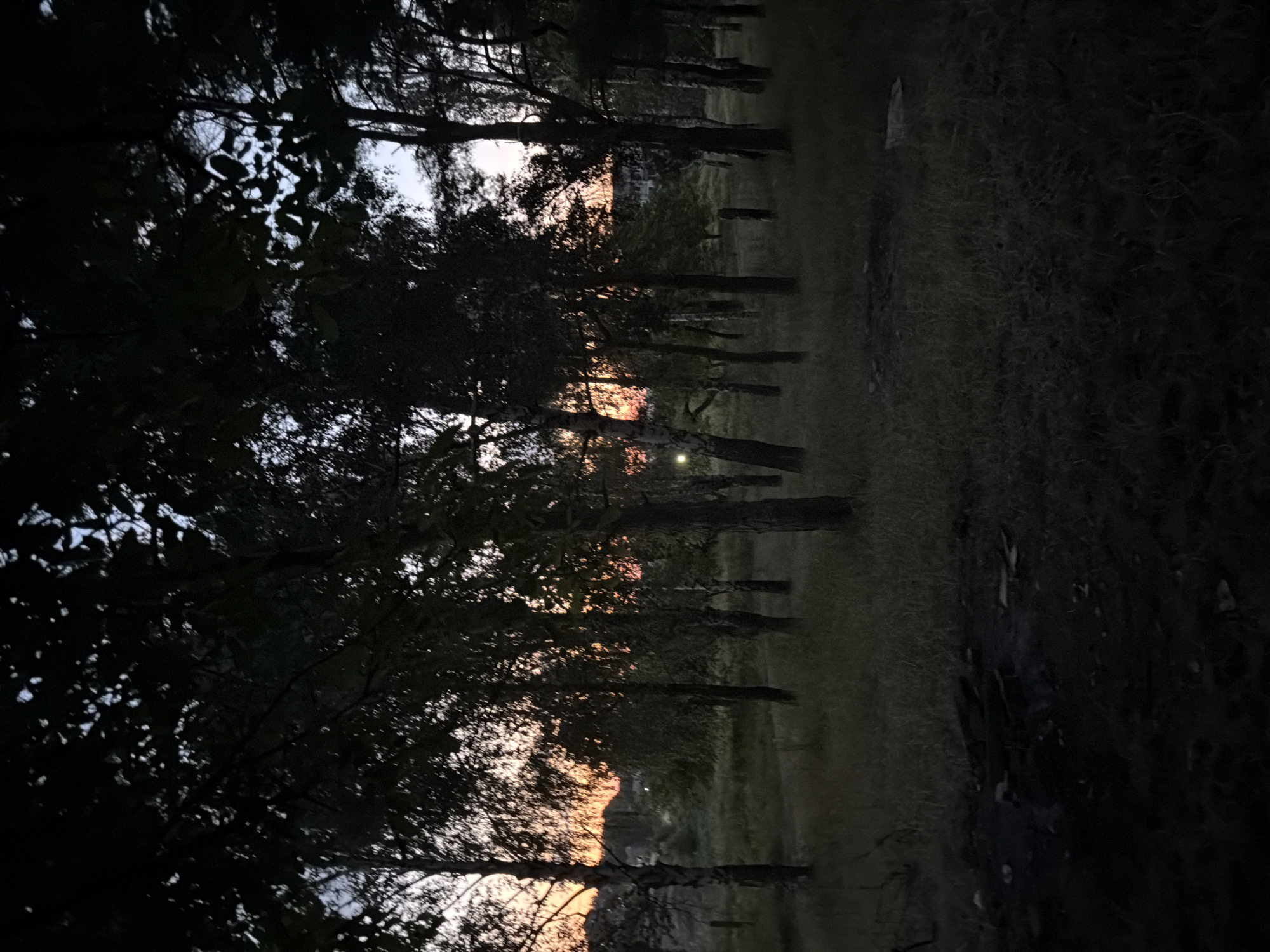 The image depicts a natural setting, likely a park or wooded area, at dusk or dawn. Several trees with dark foliage dominate the foreground and midground, casting long shadows. The sky in the background displays hues of orange and pink, indicative of the twilight hours. The ground is covered in dry grass and some scattered debris, possibly remnants of a campfire. The overall atmosphere is serene and somewhat melancholic. The image appears to have been taken in a rural or semi-rural location, given the presence of trees and open grassy areas. No specific landmarks or structures that would definitively place it within the city of Strășeni, Moldova, are visible in the image.