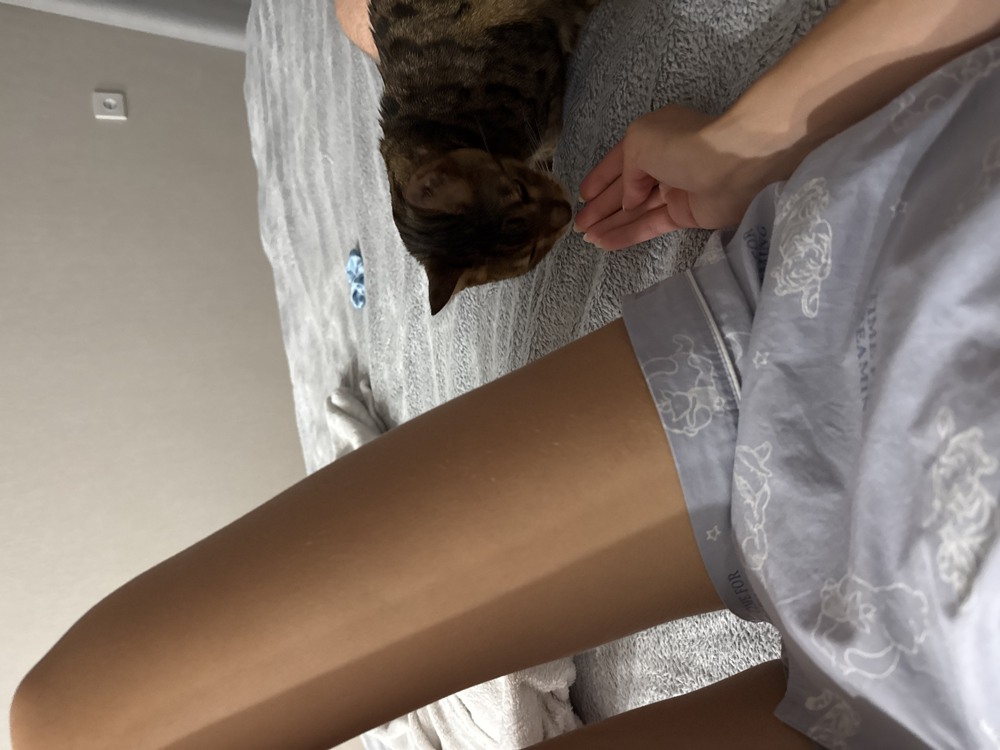 Here is a detailed description of the image:
A tan-skinned person is seen from the torso down, wearing blue pajamas with a white cartoon print, and is lying in what appears to be a bed covered in a gray textured blanket. A tabby cat is on the bed, eating something from the person's hand. The background includes a light gray wall with an electrical outlet. The location appears to be indoors.