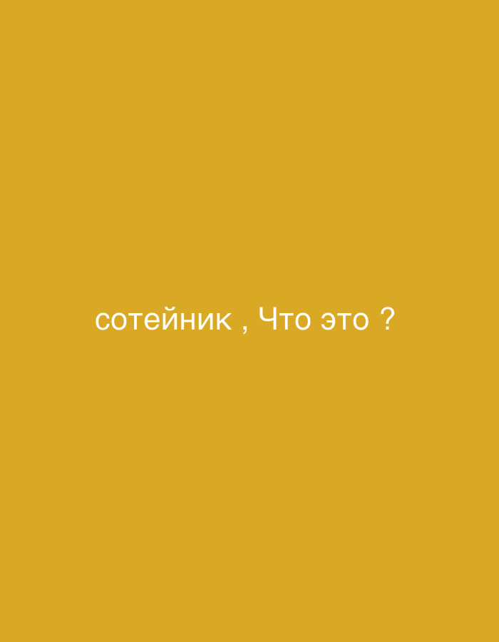 Memory