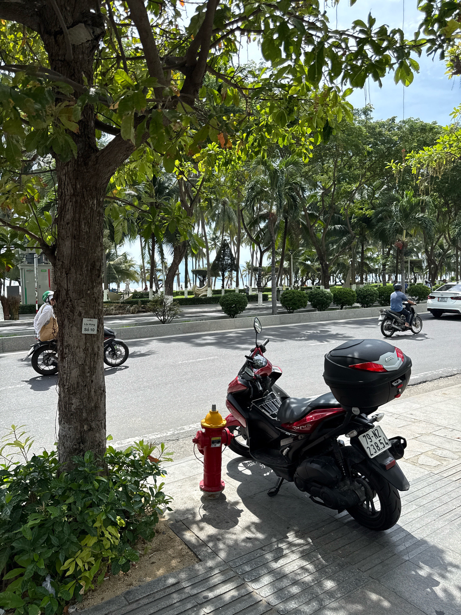 The image shows a street scene in Nha Trang, Vietnam. In the foreground, a red scooter with a black storage box is parked on the sidewalk next to a red fire hydrant and a tree. The scooter's license plate reads "79-N2 238.54". Further back, a person on a motorcycle wearing a white shirt and green helmet rides on the street. Across the street, palm trees line a walkway leading to a beach with people visible in the distance. A white car is parked on the right side of the road. The sky is partly cloudy.