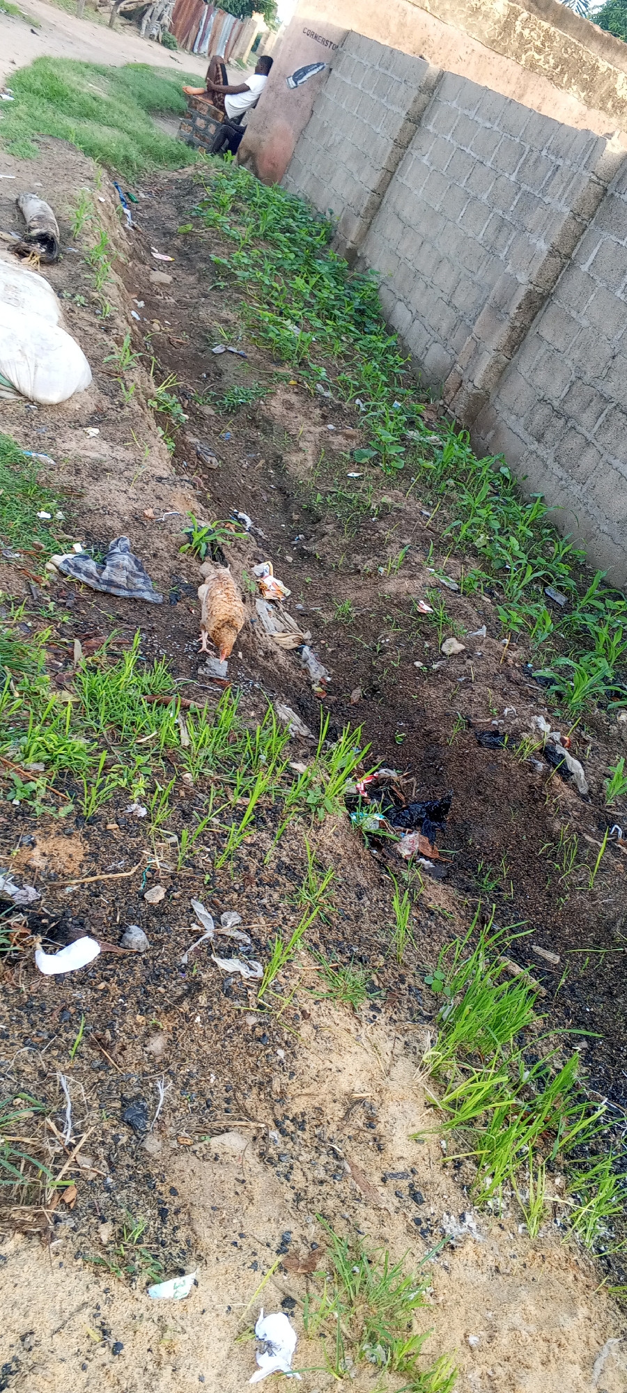 The image depicts an outdoor scene in Jalingo, Nigeria, characterized by a dusty embankment adjacent to a concrete block wall. A prominent feature is the presence of several chickens foraging in the dirt and sparse vegetation. Scattered throughout the scene are various pieces of refuse, including plastic bags and other debris, indicating a lack of proper waste management. In the background, a man is visible sitting near the wall, partially obscured by vegetation. The overall impression is one of a neglected urban fringe environment.