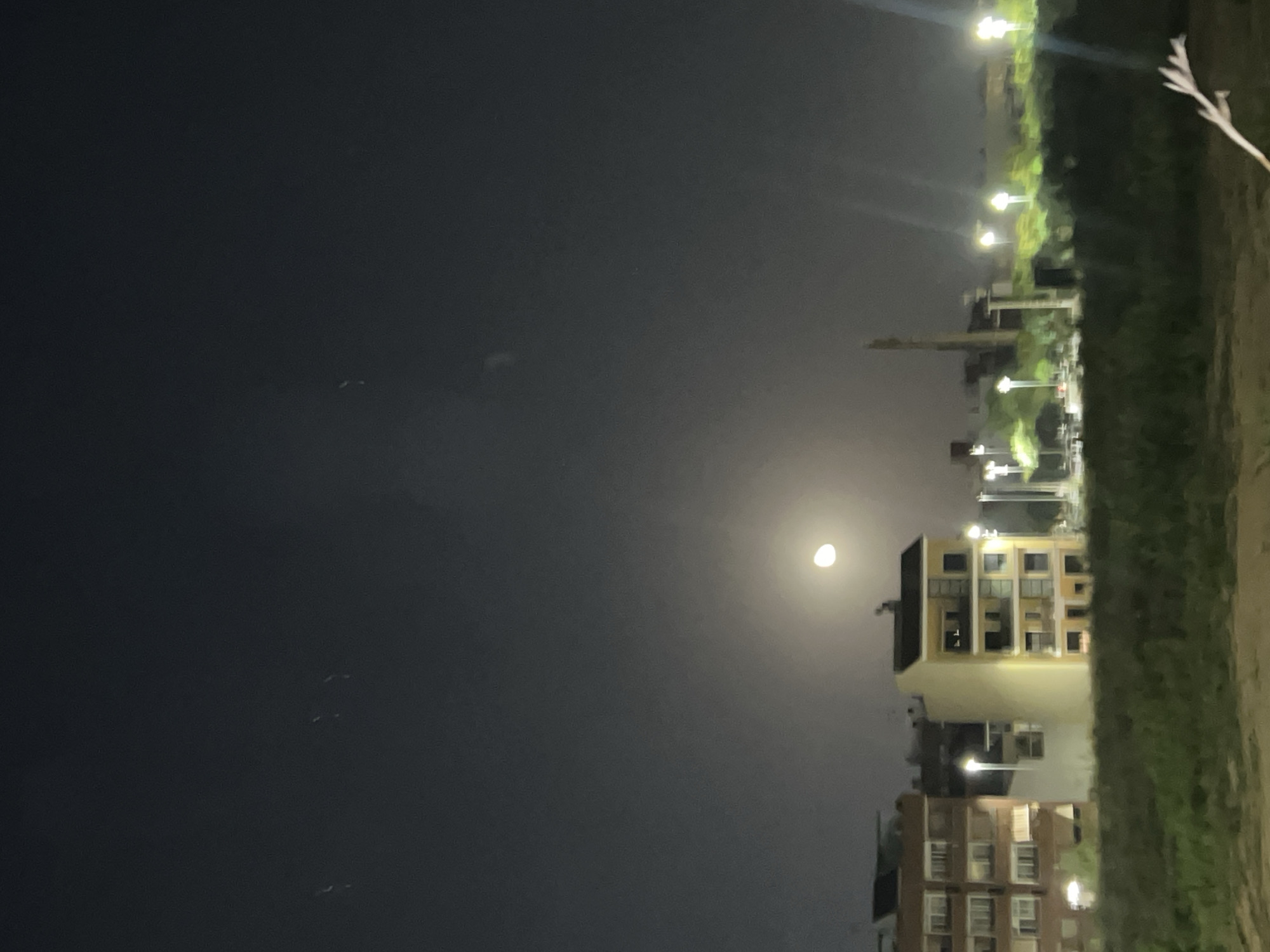 This nocturnal image, captured in Paiporta, Spain, presents an urban or suburban landscape bathed in moonlight and artificial light. The dominant feature is a bright, luminous moon, appearing as a slightly diffused orb against a dark grey night sky. Several faint, indistinct specks are visible in the upper dark areas of the sky.
In the mid-ground, a collection of buildings with varying architectural styles and heights is visible. Many windows are illuminated with warm yellow light, indicating interior activity. One prominent building has a light-colored facade, while others appear darker or brick-toned. Further in the background, the silhouette of a tall, slender structure, possibly a crane or tower, stands against the horizon. A series of bright streetlights with distinct halos and light streaks lines what appears to be a street or pathway, contributing significantly to the scene's illumination.
The right side of the foreground features a textured strip of green grass or low vegetation, bordered by a lighter, brownish patch that suggests a dirt path. A thin, light-colored, leafless branch extends into the frame from the far right edge. No people or specific activities are depicted, contributing to a quiet and serene ambiance. The image portrays a peaceful night scene under the glow of both natural and artificial light. No visible text is present.