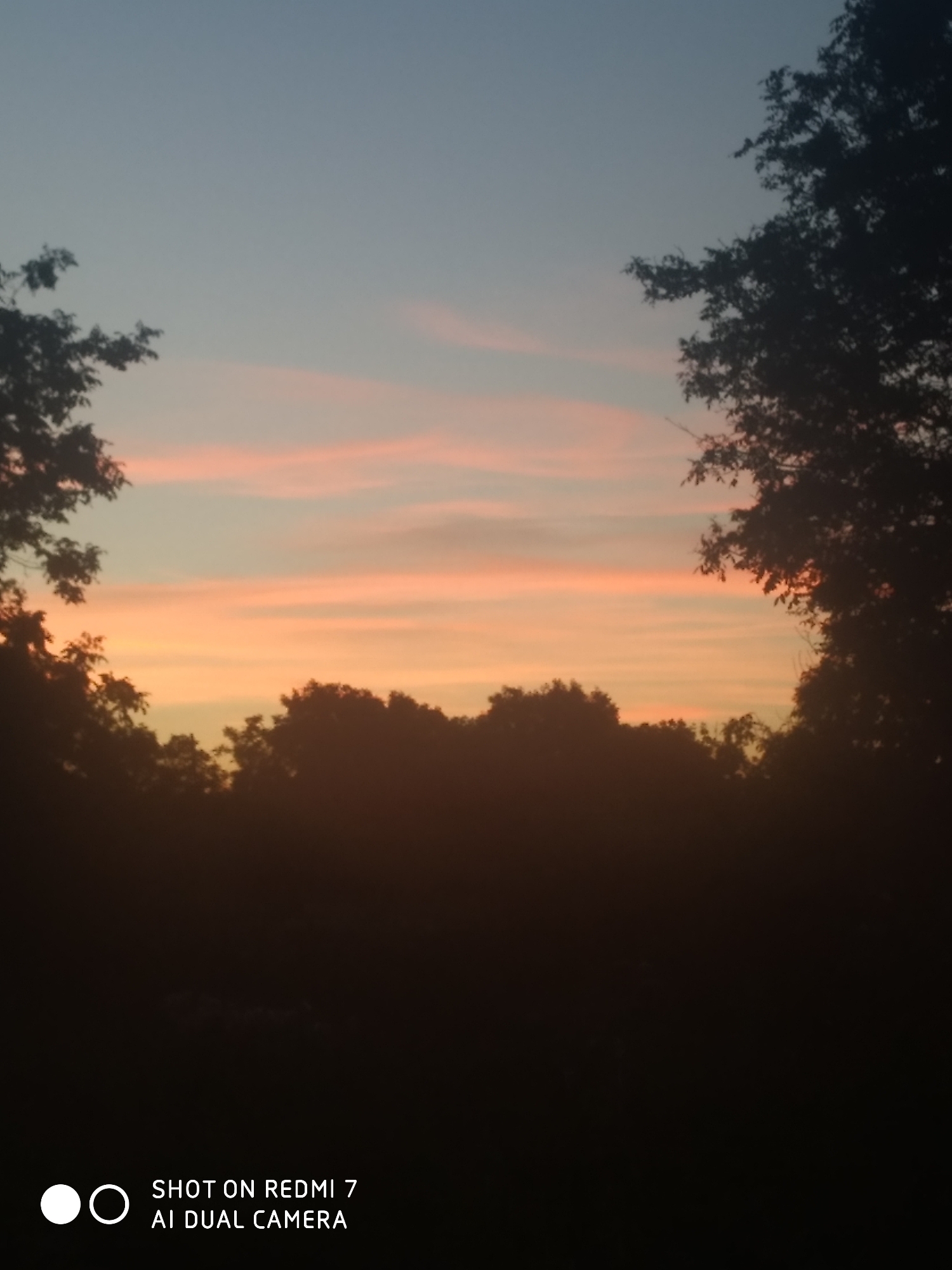 This is a photograph of a sunset over Vorobiivka, Ukraine. The sky is a gradient of colors, with a deep blue at the top fading into pale orange and pink hues near the horizon. Silhouetted against the colorful sky are the dark shapes of trees and foliage, creating a natural border along the bottom of the frame. The overall impression is one of a peaceful, natural landscape at dusk.