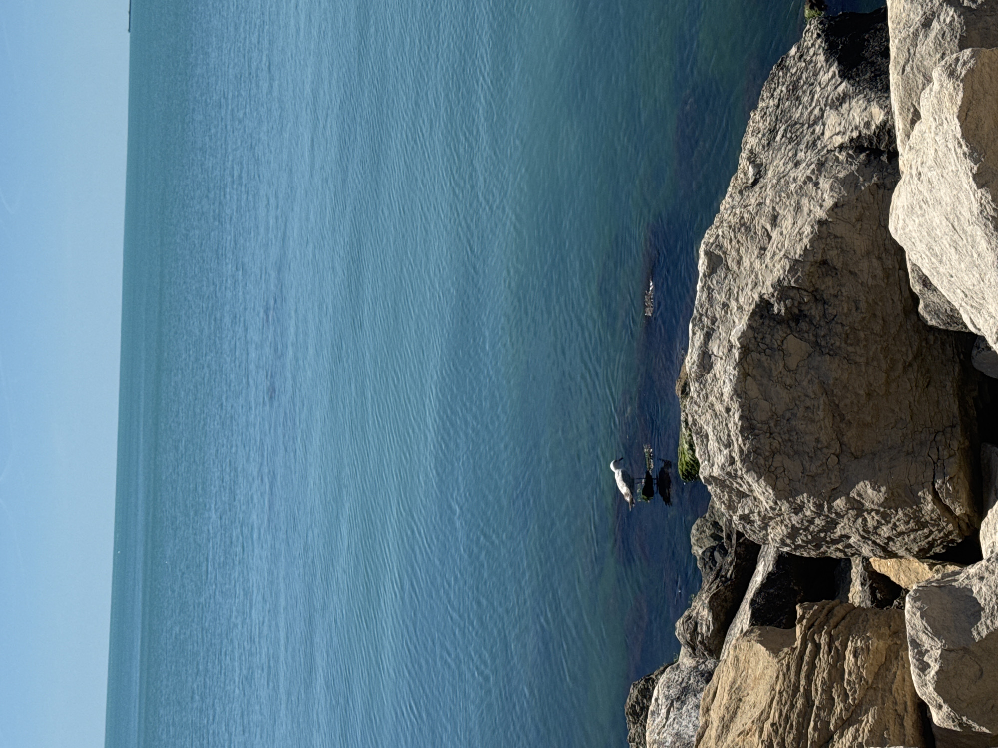 The image shows an expanse of blue water adjacent to a rocky shoreline. Large, light-colored boulders form the coastline. A white bird is standing in the water near the rocks. The scene is located in the city of Varna, Bulgaria.