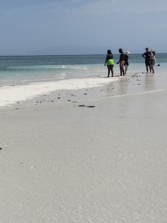 The image depicts a daytime scene on a white sandbar at Wasini, Kenya, with clear, shallow turquoise water in the foreground and a darker blue ocean extending to the horizon under a light blue sky with scattered clouds. Six individuals are visible standing on or near the sandbar. From left to right: one individual, seen from behind, wears a bright neon green bottom and dark top; a second individual, male, wears dark patterned swim shorts and a dark top; a third individual wears dark attire and a wide-brimmed light hat; a fourth individual wears dark clothing; a fifth individual wears a dark top and light shorts; and a sixth individual wears a wide-brimmed light hat and dark clothing. All individuals appear to be observing the ocean. Patches of dark seaweed or debris are scattered on the sandbar and in the shallow water. A dark elongated object, possibly a snorkel, is partially submerged in the water on the far right.