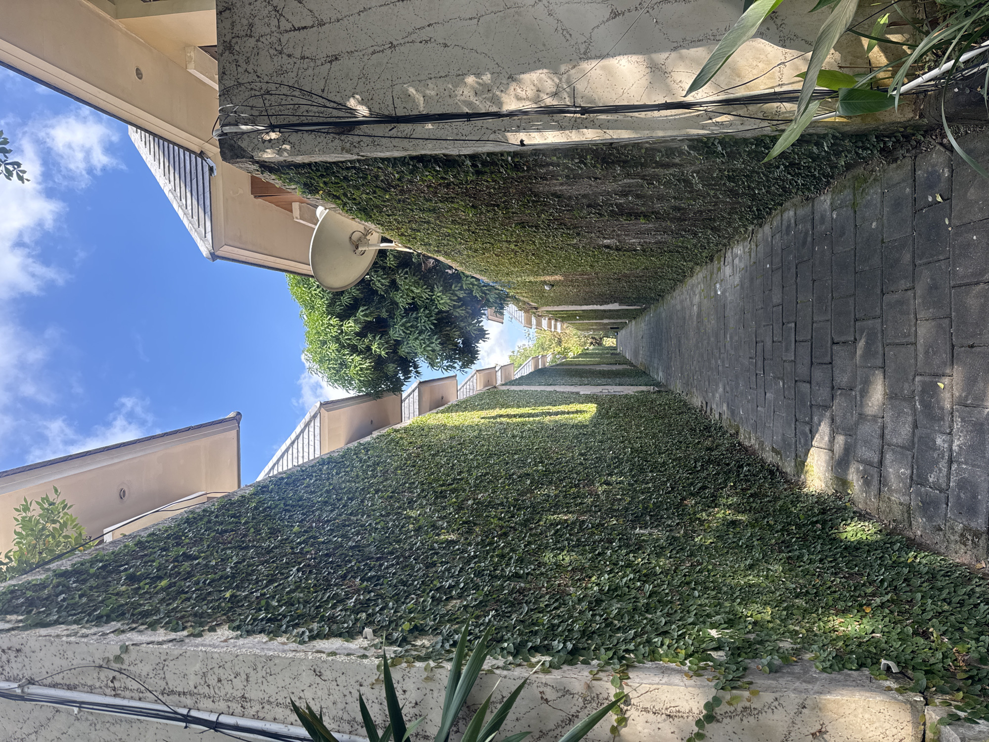 The image depicts a narrow, paved walkway that curves to the right, flanked by high walls covered in dense green ivy. On the left side of the walkway, a multi-story building with light-colored walls and a tiled roof is visible, its architecture suggesting a tropical or warm climate. The building has multiple levels with balconies or terraces. Above the building, a bright blue sky with scattered white clouds is visible. A satellite dish is mounted on the wall of the building.
On the right side of the walkway, a wall constructed of dark, interlocking stone blocks forms the boundary. This wall also has ivy growing on its lower portions. The path itself is paved with rectangular stone blocks, and the sunlight casts dappled shadows across it, indicating a sunny day.
The scene is an outdoor pathway, possibly in a resort or residential area, given the building's style and the well-maintained greenery. The overall impression is one of a serene and verdant environment. The time of day appears to be late morning or early afternoon due to the angle of the sunlight and the bright sky. There is no text visible in the image. The location context of Kuta Selatan, Indonesia, aligns with the visual cues of tropical vegetation and architecture.