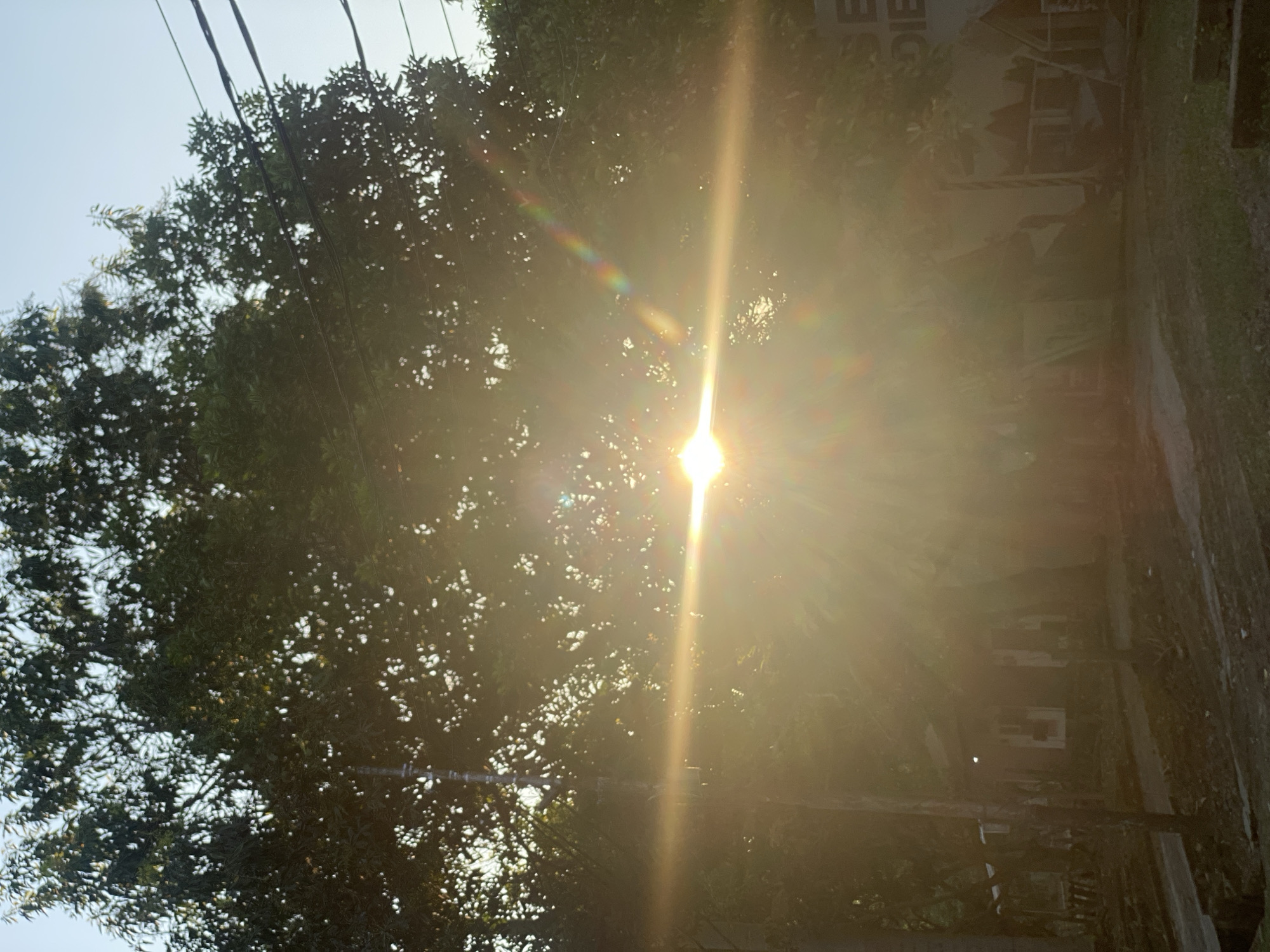 The image depicts a sun-drenched outdoor scene, likely in Banjarbaru, Indonesia, at sunset. The low angle of the sun creates a strong lens flare, illuminating the foliage of a large tree that dominates the upper half of the frame. The bright light obscures much of the background, but hints of structures, possibly buildings or shelters, can be discerned through the glare. Electrical wires are visible traversing the sky above the trees. The ground appears to be a dirt or gravel pathway, with some vegetation present. A partially visible sign with the letters "SE DIE" is present on the right side of the image. No people are discernible in the scene.