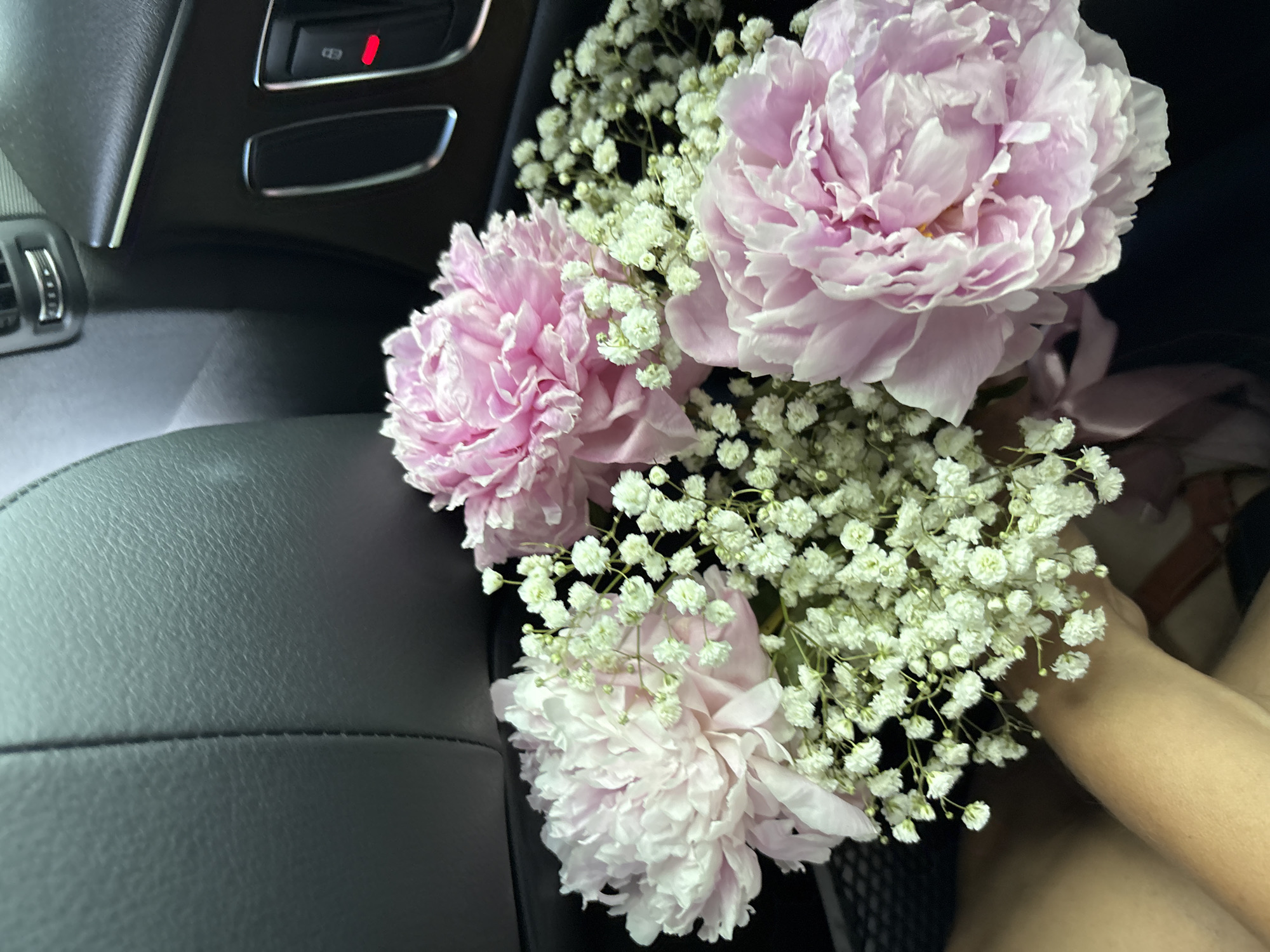 This media file shows a bouquet of pink peonies and white baby's breath flowers. The flowers are arranged in a way that suggests they are being transported, possibly in a car. The background reveals a portion of a car's interior, including dark leather seats and dashboard elements with buttons and vents. One button on the dashboard has a red indicator light illuminated. A person's arm and shoulder are visible on the right side of the frame, suggesting they are holding or near the bouquet. The overall lighting and shadows hint that it might be daytime, but the specific time is not definitively discernible. The image is taken from a close-up perspective, focusing on the textures of the flowers and the car's interior. There is no visible text in the image. The context provided places the scene in Mierzęcice, Poland.