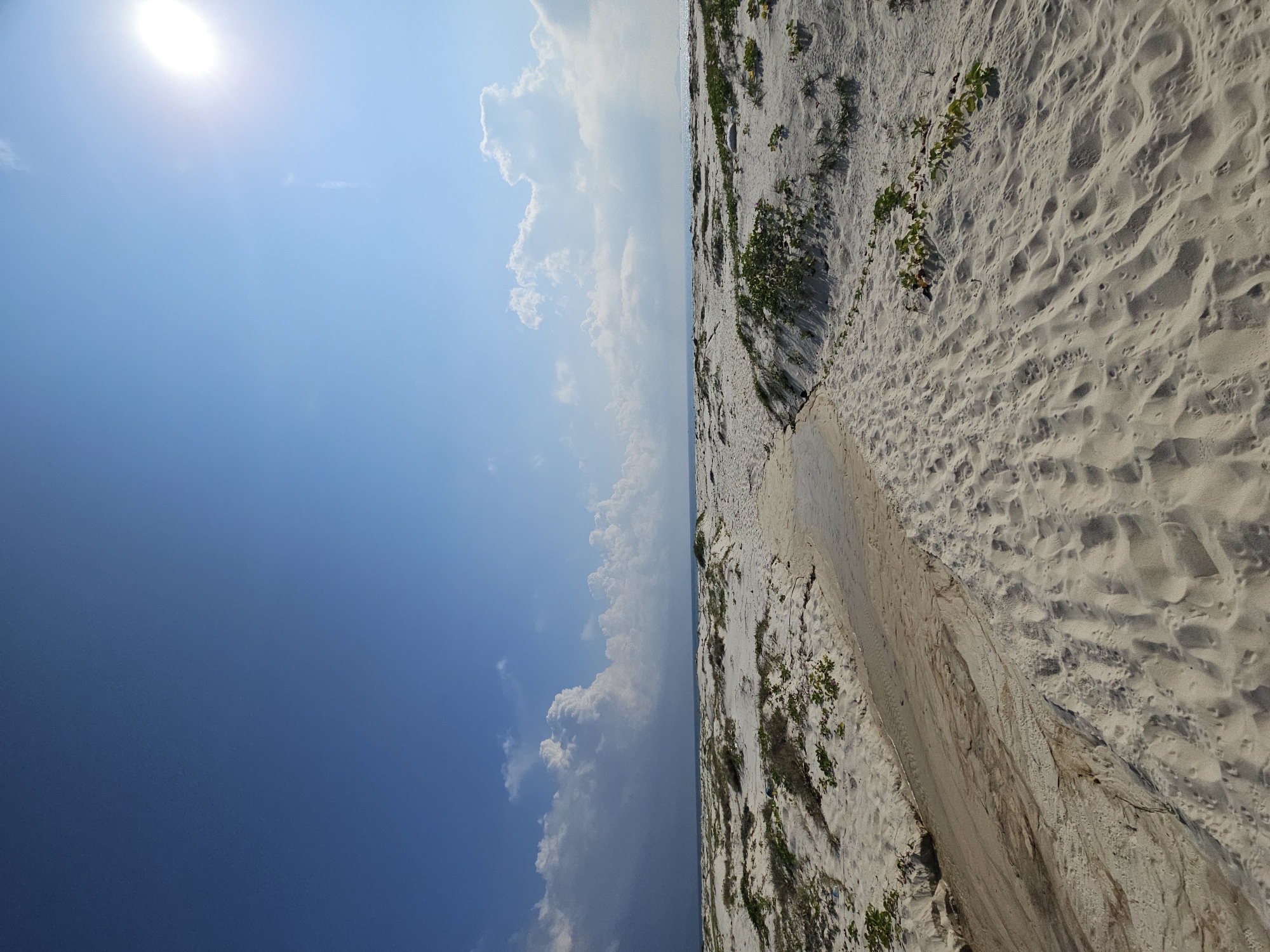 The image depicts a beach landscape, likely in Bac Cam Ranh Ward, Vietnam, characterized by a sandy shoreline meeting the ocean. A clear blue sky with a bright sun in the upper-left portion of the image occupies a significant portion of the upper half, contrasting against the clouds closer to the horizon. The beach itself features light-colored sand with noticeable tracks or erosion marks running along its length. Green vegetation grows sparsely along the beach, adding to the natural environment. The ocean appears as a thin line on the horizon separating the sand and sky.