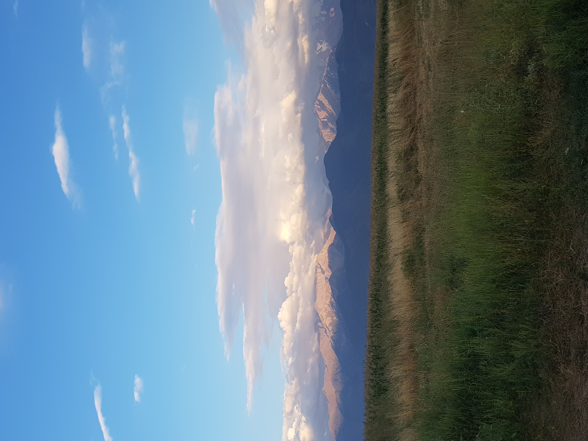 The image depicts a wide landscape under a bright blue sky dotted with scattered white clouds. In the mid-ground, a range of mountains is visible, with their peaks illuminated by sunlight, casting some shadowed areas. The mountains are partially obscured by a band of fluffy, white clouds, some of which are tinged with pink and orange, suggesting either sunrise or sunset. In the foreground, there is a field of tall grass and vegetation, with a darker, denser patch of green growth closer to the bottom of the frame. The overall scene appears to be a natural, rural environment, likely a field adjacent to a mountain range, under a dynamic sky. The location is specified as Ақдала, Kazakhstan, suggesting this is a scene from that geographical area. There are no people or specific objects of interest apart from the natural elements.