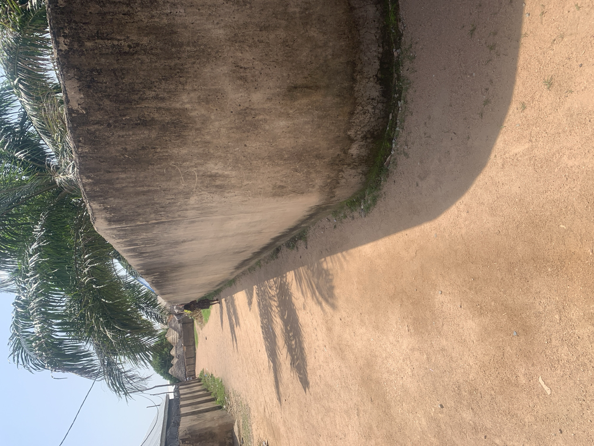 This is a landscape-oriented photograph taken outdoors in Jalingo, Nigeria. The image features a rough, weathered concrete wall in the foreground, running diagonally across the frame from the top left to the bottom right. To the left of the wall, palm fronds from a tree are visible, casting shadows. The ground in front of the wall is a dusty, sandy path.
Along the path, a person can be seen walking, appearing as a small figure in the distance. Further down the path, there are steps leading up to a structure. Shadows of palm fronds are cast across the sandy ground, suggesting a sunny day. The overall scene evokes a sense of a warm, possibly dry climate. The lighting indicates it is daytime, likely mid-morning or afternoon due to the distinct shadows. There is no visible text in the image. The setting appears to be an outdoor area, possibly residential or a public walkway, with a mix of natural and constructed elements.