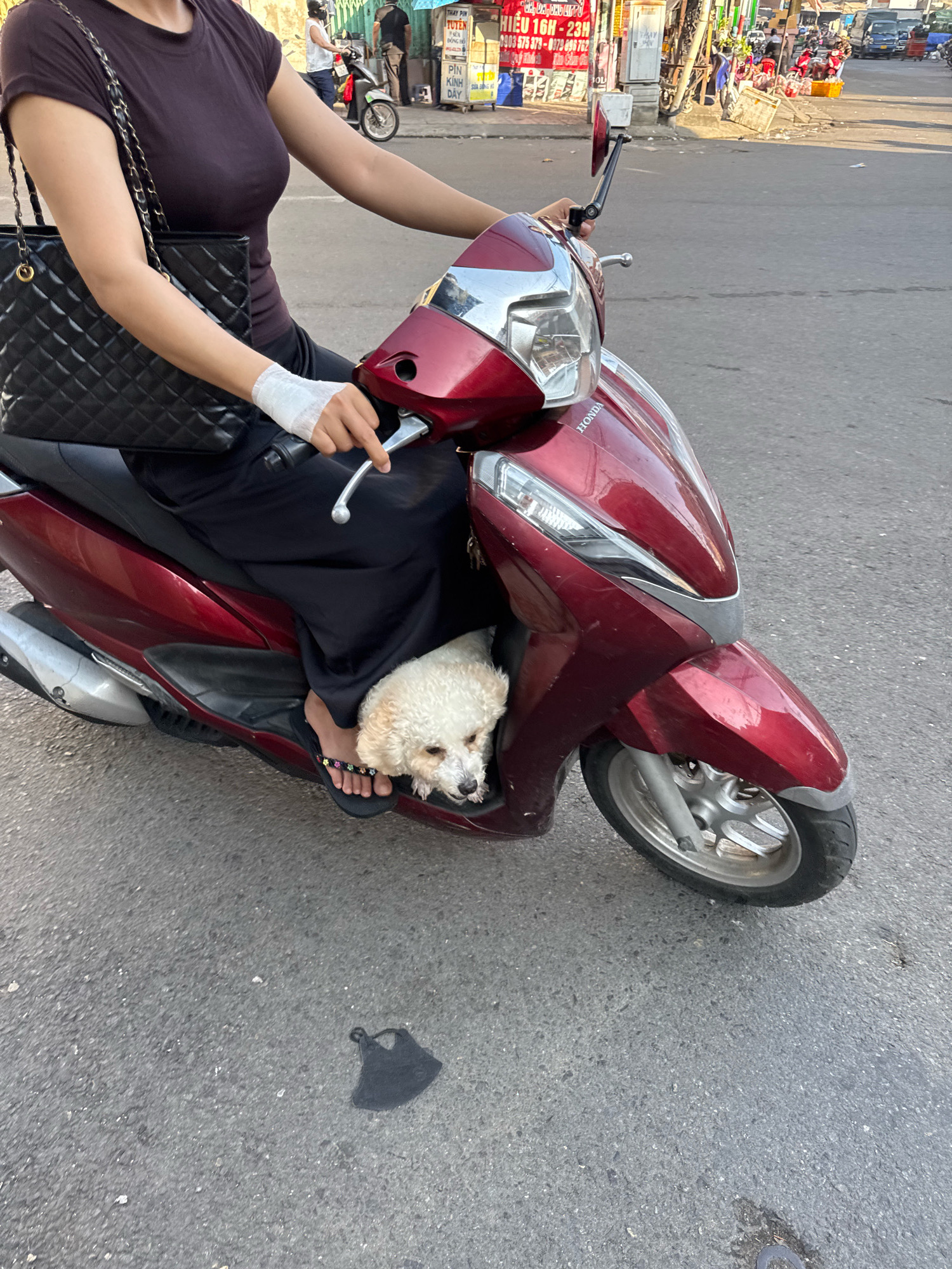 A woman wearing a dark purple t-shirt and a long black skirt rides a red Honda scooter in Nha Trang, Vietnam. Her right hand, wrapped in white bandage, is on the scooter's handlebar. A small white dog is seated in front of her, between her legs. The scooter's front wheel is visible. In the background, there are buildings with signage and other vehicles. A black face mask lies on the asphalt road in the foreground.