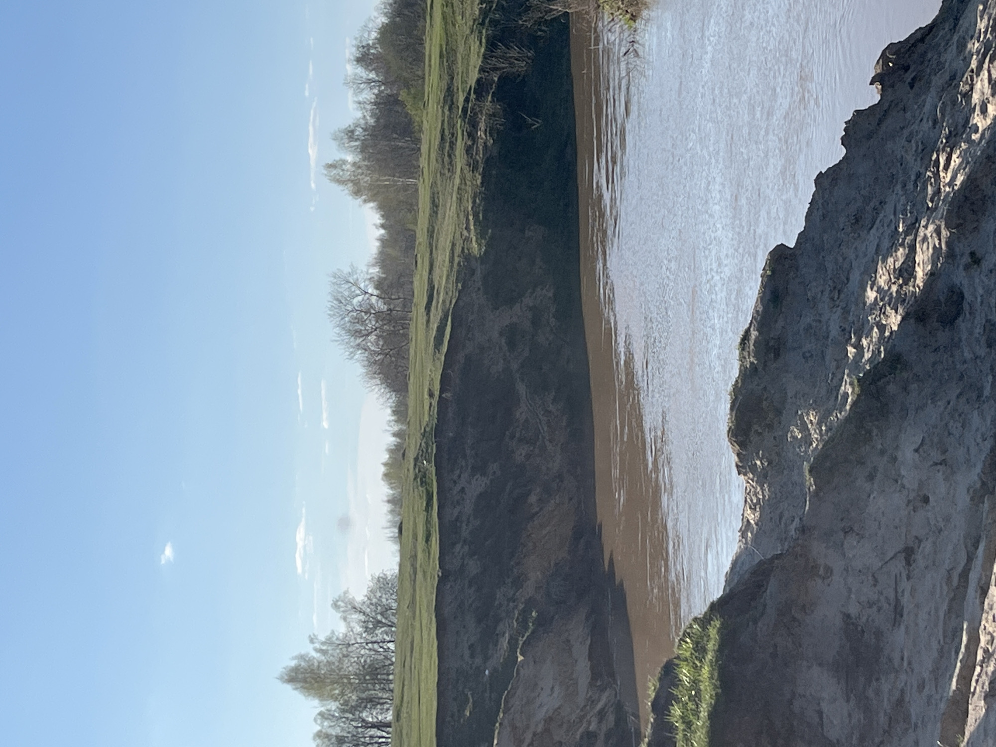 The image depicts a river flowing between a high cliff and a grassy bank. The river water is murky brown. The cliff face is composed of layered rock, showing signs of erosion. Vegetation, primarily grass and sparse trees, grows on top of the cliff. The sky is clear and blue, with a few scattered clouds. The image captures a natural scene in a rural or semi-rural area. There is no information about the location in the city of Voronino, Russia in the image.