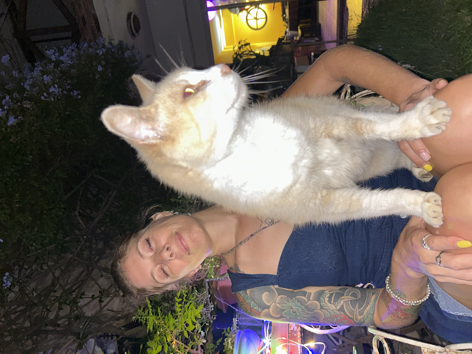 A woman is holding a tan and white cat in her arms. The woman has fair skin, light-colored hair, and is wearing a dark blue top. She has tattoos on her left arm and several rings on her fingers. The cat is facing away from the woman and towards the left side of the frame. The background is a mix of foliage, including a bush with blue flowers. There are also some outdoor lights visible. The location appears to be outdoors at night. There is no definitive visual evidence to identify the location as Buenos Aires, Argentina.