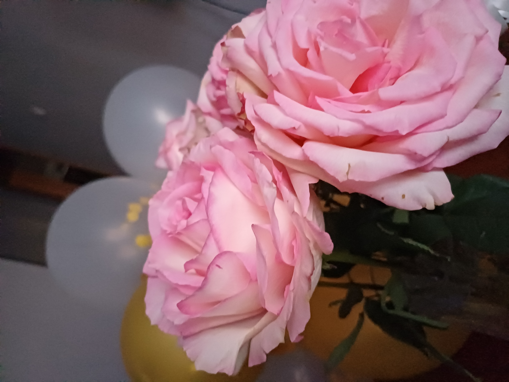 A close-up shot focuses on two large pink roses with delicate white centers and darker pink edges. The petals are soft and layered, showcasing intricate details. In the background, blurred balloons, one yellow and two pale grey, are visible against a neutral, textured wall. The overall impression is one of a soft, romantic, and festive arrangement.