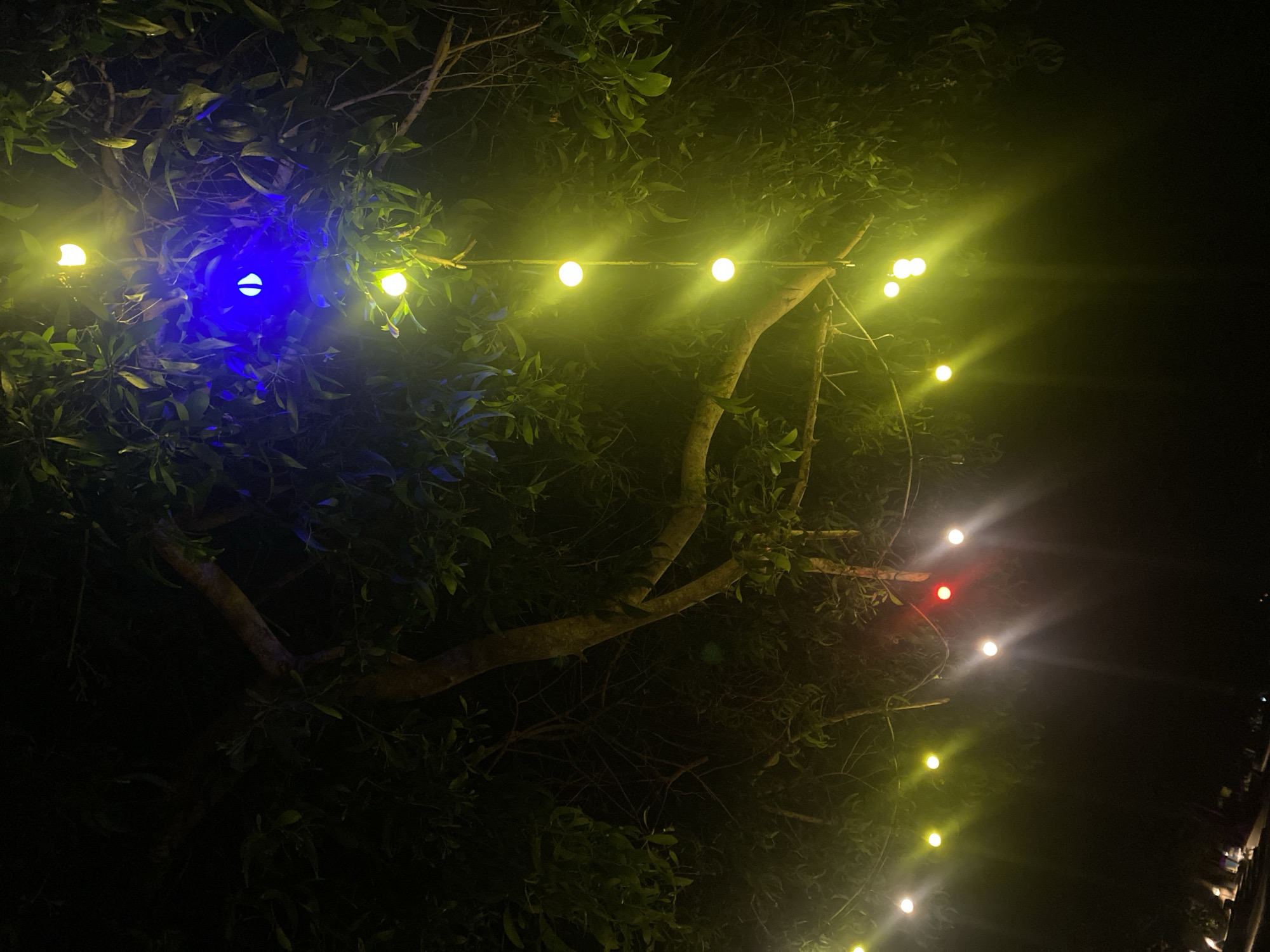 At night, a string of lights is hung amongst the branches of a tree in Baan Tai, Thailand. The lights vary in color, with some shining yellow, some red, and one particularly bright one radiating a blue hue. The branches and leaves of the tree are visible around the lights, illuminated by their glow, while the background is shrouded in darkness.