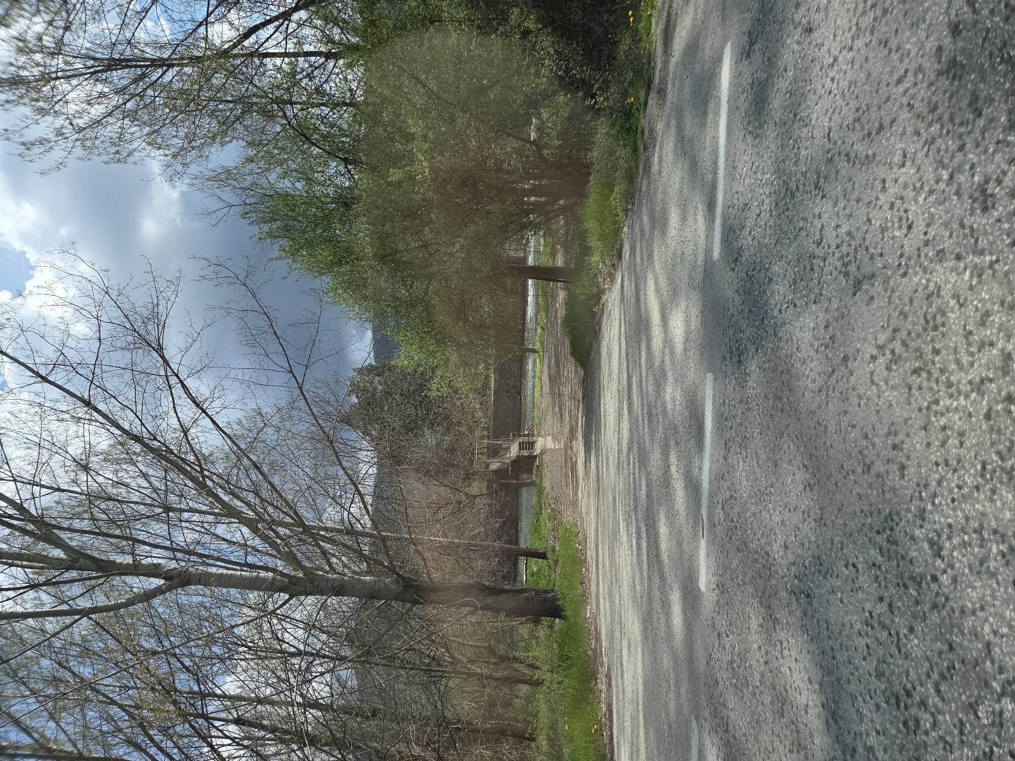 The image shows a road in Leshnitsa, Bulgaria. A gray asphalt road with white lane markings occupies the right side of the frame. Trees line both sides of the road, some with bare branches reaching towards a partly cloudy sky. The left side shows a building or structure near a body of water, possibly a river or stream, beyond the trees. A set of steps or a small bridge is visible leading to the water's edge.