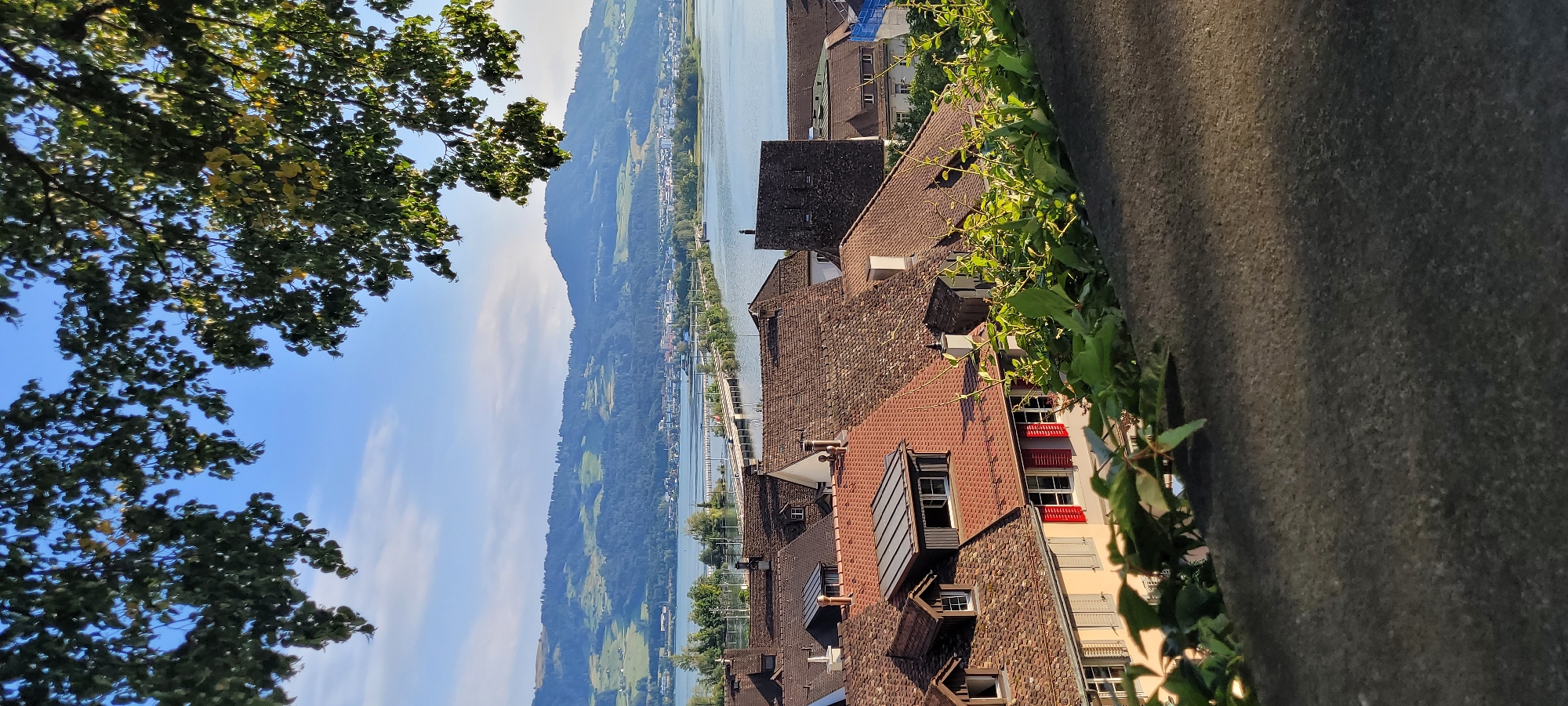 The image captures a scenic view of Rapperswil-Jona, Switzerland, overlooking the Zurichsee (Lake Zurich). In the foreground, a stone wall with creeping green vines forms a textured boundary. Beyond the wall, a cluster of red-tiled roofs of historic buildings dominates the mid-ground. Several buildings have visible dormer windows and chimneys, indicating traditional architecture. A notable structure with red shutters adds a pop of color.
Further in the distance, the expansive Zurichsee stretches across the frame, with a long bridge, likely the Rapperswil Causeway, spanning its width. The bridge appears to carry road and potentially train traffic, with vehicles visible on it. Across the lake, the landscape transitions into rolling green hills and mountains, partially covered in forests. The sky above is a clear blue with a few wispy clouds, suggesting fair weather. The lighting indicates it is likely late afternoon or early evening, with the sun casting shadows and highlighting the textures of the roofs and the stone wall. The scene is tranquil and picturesque, typical of a European lakeside town. There are no people visible in the image.