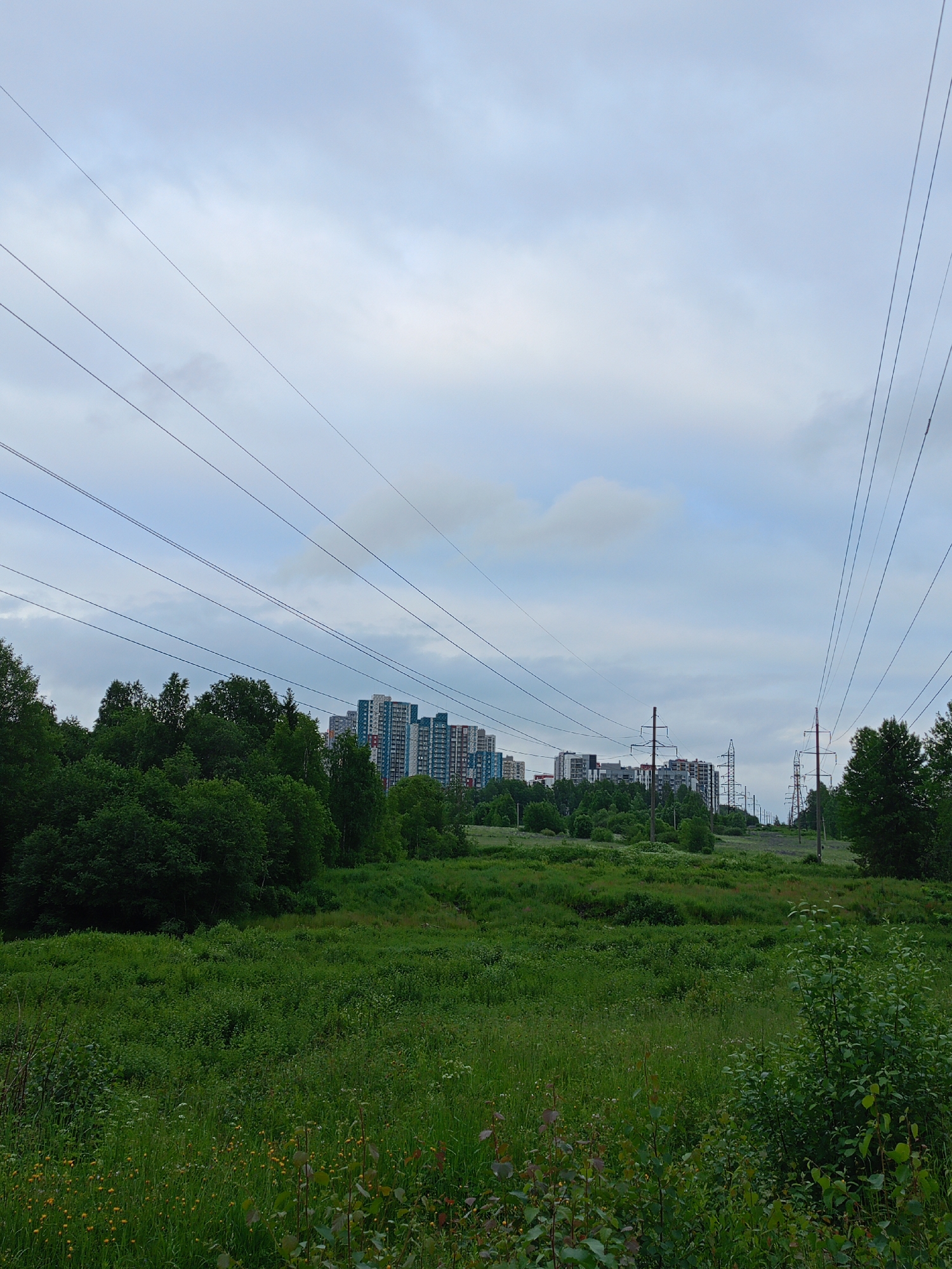 This is a wide shot of a natural landscape with urban development in the background. In the foreground, a grassy field is visible, dotted with small yellow wildflowers and green bushes. Power lines stretch across the upper portion of the image, running from left to right. In the midground, a dense line of green trees forms a natural barrier. Beyond the trees, a cluster of tall, modern apartment buildings with colorful facades stands against a cloudy sky. Further into the background, more trees and power line towers are visible on a gentle slope. The overall scene depicts a transition from nature to urban infrastructure.